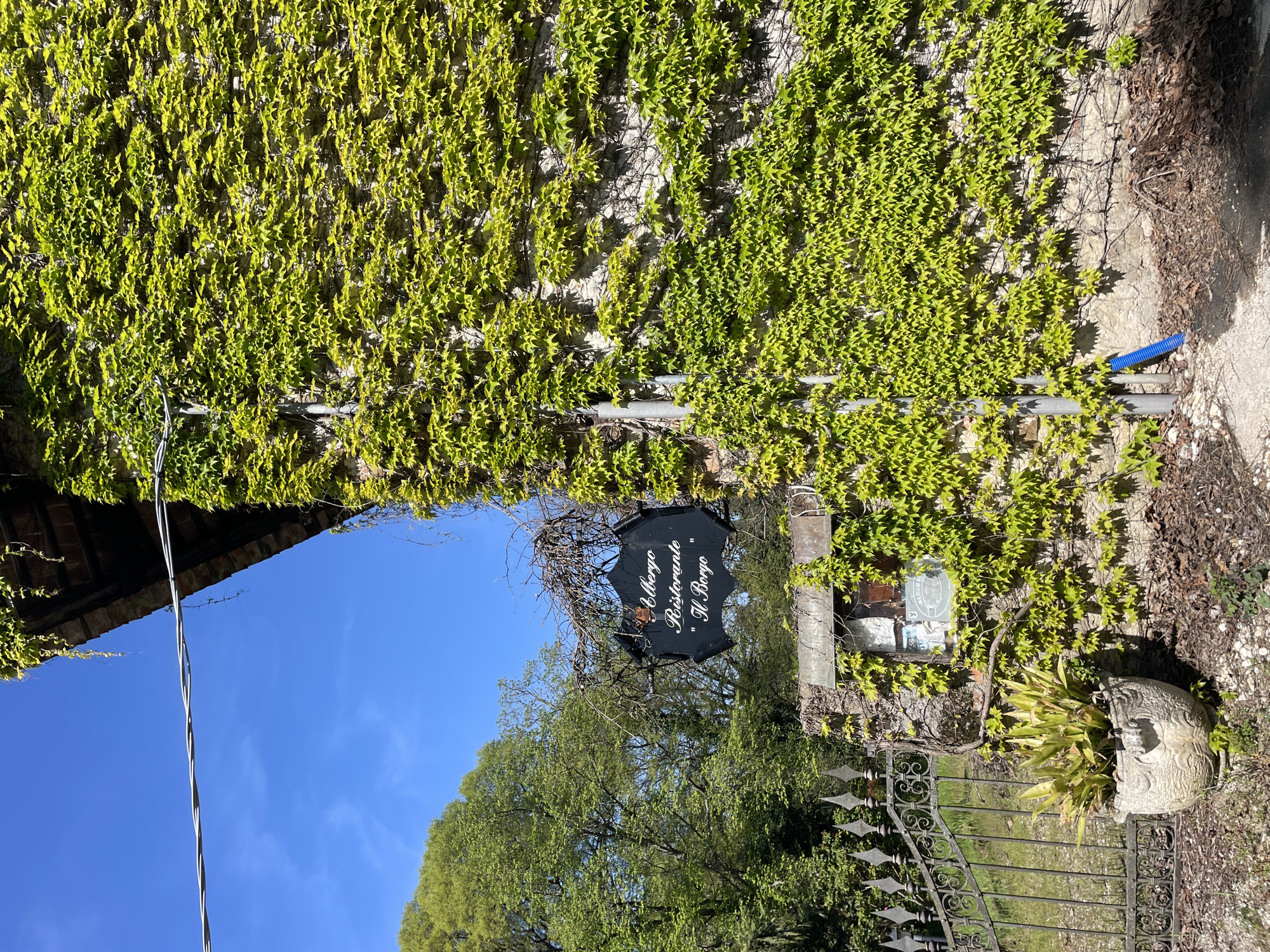 The image captures an outdoor scene in San Lorenzo, Italy. A stone wall densely covered with ivy dominates the upper portion of the frame. Attached to the wall is a sign, mostly obscured by branches and foliage, that reads "Albergo Ristorante 'Il Borgo'". Below the sign, an ornate wrought-iron gate provides access to the property. A weathered stone planter, filled with plants, stands adjacent to the gate. The sky is visible in the background. A utility pole is visible in the background.