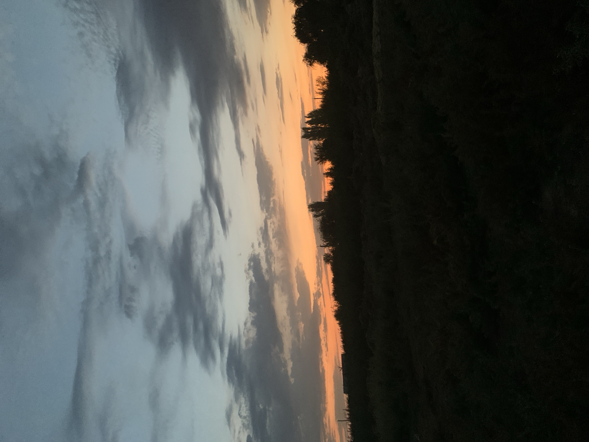 The image depicts a twilight scene, likely a rural or semi-rural area outside of Komsomolskoe, Kyrgyzstan. The sky is a gradient of colors, transitioning from a pale blue at the top to a vibrant orange and then a dark silhouette at the horizon. Wispy clouds are scattered across the sky, catching the fading light.
Below the sky, a dark, dense line of trees and vegetation forms a silhouette against the colorful sky. The foreground is almost entirely black, suggesting the presence of low-lying bushes or dense undergrowth in shadow. In the far distance, along the horizon, a few faint structures or buildings can be discerned as dark shapes, possibly indicative of the outskirts of a settlement. There are no people, animals, or discernible actions taking place in the scene. The overall impression is one of a quiet, natural landscape at the end of the day.
