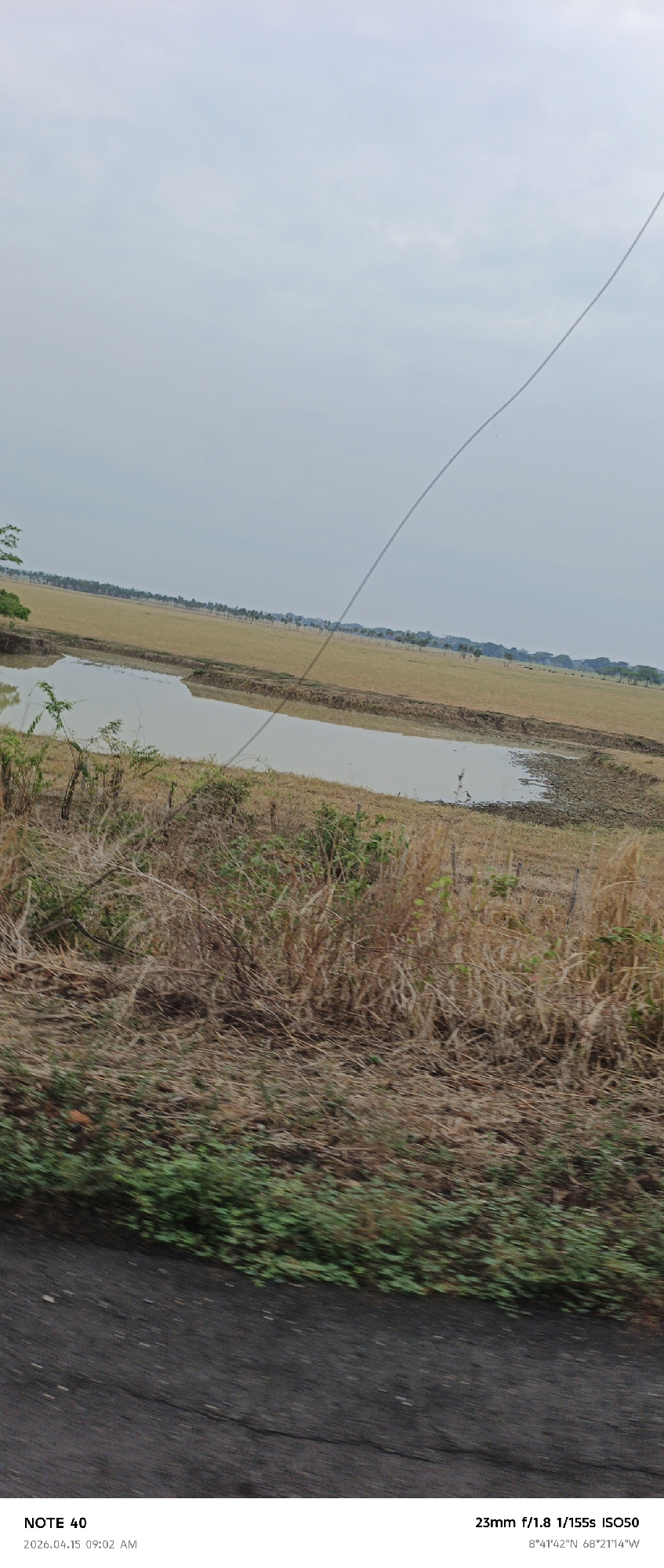 The image shows a rural landscape in Cano Negro, Venezuela (as indicated by the GPS coordinates). The foreground is dominated by dry, brown vegetation and patches of green ground cover, suggesting a roadside view from a moving vehicle. A body of water, possibly a pond or a wetland area, is visible in the middle ground. Beyond the water lies a grassy field with a line of trees in the distance. The sky is overcast and pale. A thin wire, likely a power line, cuts diagonally across the upper portion of the image. The text overlay at the bottom indicates the image was taken with a "NOTE 40" on April 15, 2026, at 09:02 AM, using a 23mm lens, f/1.8 aperture, 1/155s shutter speed, and ISO 50.