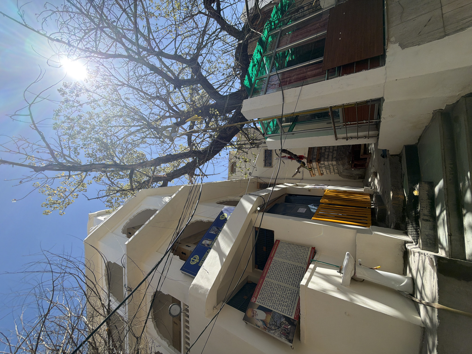 This image captures an upward view of a white building with arched windows, possibly a Gurudwara, located in the city of Leh, India. The building has several signs, one of which appears to be a historical plaque with text in a language that resembles Punjabi. A large tree with bare branches dominates the upper right portion of the frame, with sunlight streaming through its canopy. In the foreground, there are steps leading up to the building, with a white sink and faucet mounted on the wall. A yellow gate is visible further up the steps. The environment appears to be outdoors, with a clear blue sky overhead.