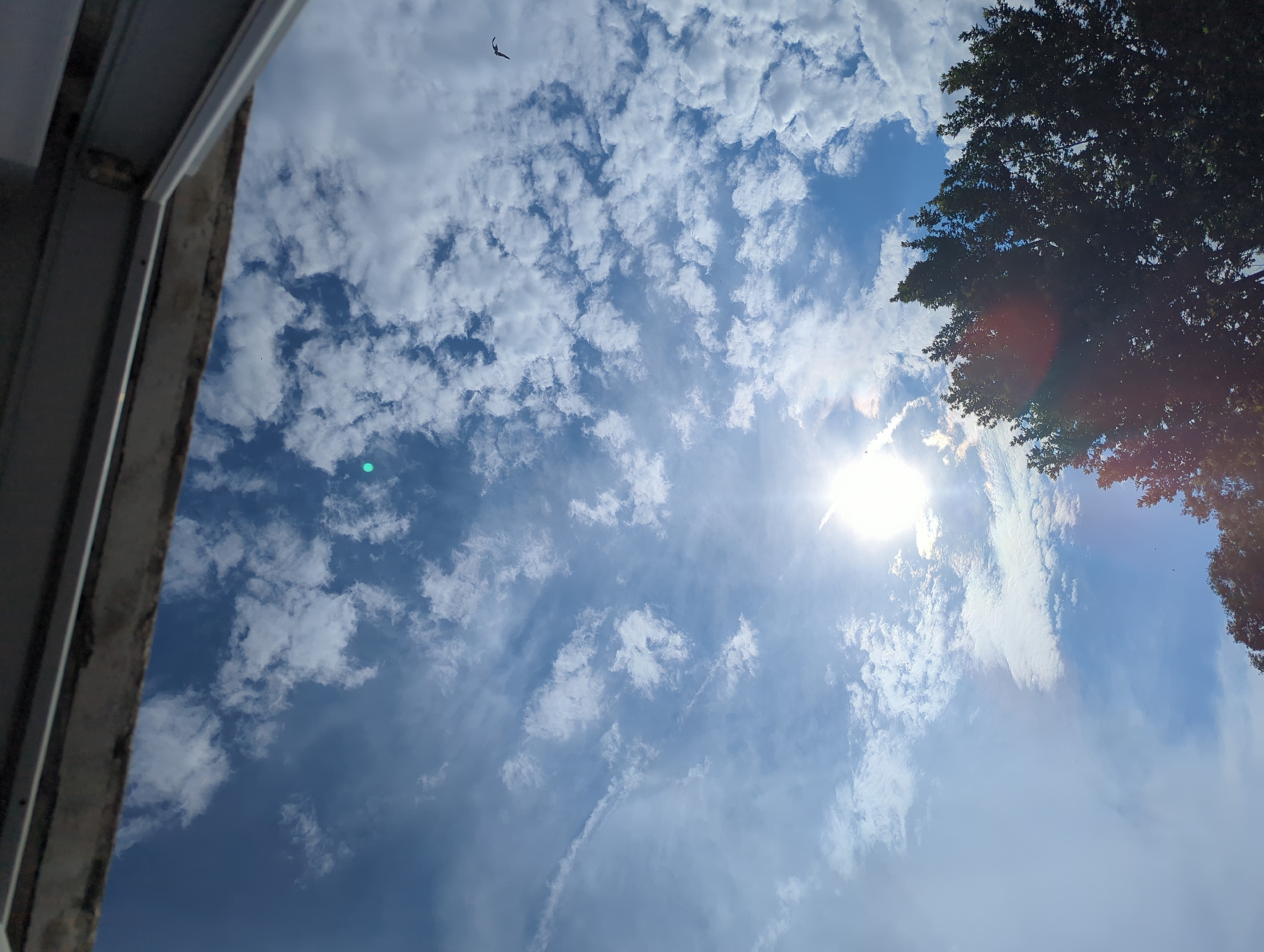 A vertical photograph captures an upward view of a bright, sunlit sky in the city of Burgas, Bulgaria, dominated by scattered white cumulus and stratocumulus clouds. The sun, a brilliant, overexposed light source, is positioned in the lower-middle right quadrant, generating significant glare and a prominent lens flare. The upper approximately 15% of the frame features a dark, angular structural element, consistent with an architectural overhang or window frame. In the lower right corner, the dense, dark green foliage of a tree is partially visible, silhouetted against the luminous sky. A single, small, dark bird is discernible in flight in the upper right portion of the sky. Additional faint green and orange lens artifacts are present across the blue sky areas.