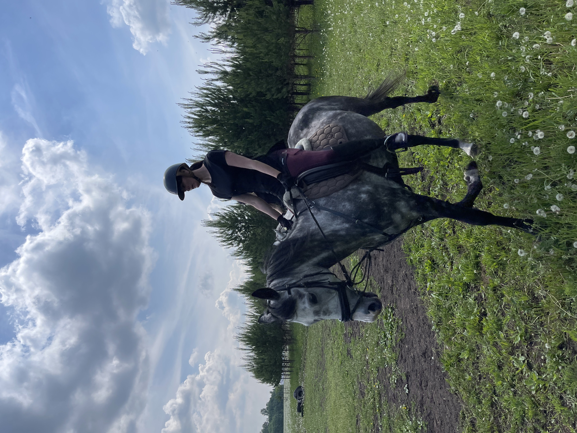 In Элита, Russia, a young woman with dark hair, wearing a black t-shirt, burgundy riding pants, black boots, and a dark helmet, is riding a dappled grey horse. The horse is equipped with a bridle and saddle. They are positioned in a grassy field with scattered dandelions. Behind them, a line of evergreen trees forms a backdrop, and beyond that, a forest and a cloudy sky are visible. In the left background, several discarded tires are present on the ground. The overall scene depicts an outdoor equestrian activity on a partly cloudy day.