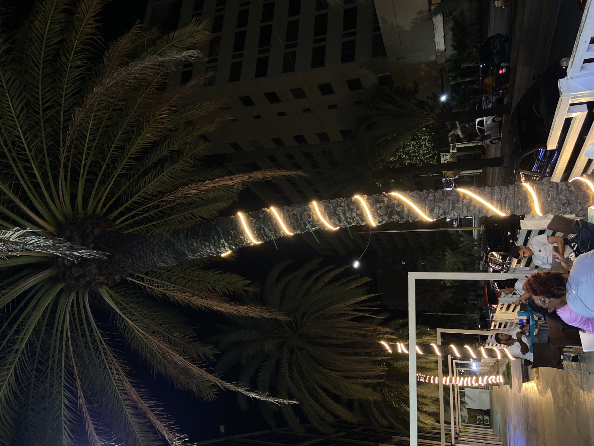 The image depicts an outdoor dining area at night in Juan Griego, Venezuela. A large palm tree, wrapped with a spiral of warm-toned string lights, dominates the foreground and extends upwards, obscuring a portion of the night sky. To the left and behind this palm tree, another, larger palm tree with dense fronds is visible. In the mid-ground, several people are seated at tables, engaged in conversation or dining. One man in a white polo shirt is looking at the table, and a woman in a white top is talking to him. Another man in a light grey polo shirt is seated at a table further to the right. The seating area is partially enclosed by white structures, possibly a pergola or fencing, with more palm trees visible in the background. Beyond the seating area, a street is visible with parked cars, including a black sedan in the lower right quadrant and other vehicles further down the road. A multi-story building with dark rectangular windows stands in the background, illuminated by ambient light. The overall atmosphere is that of an urban night scene with a tropical ambiance.
