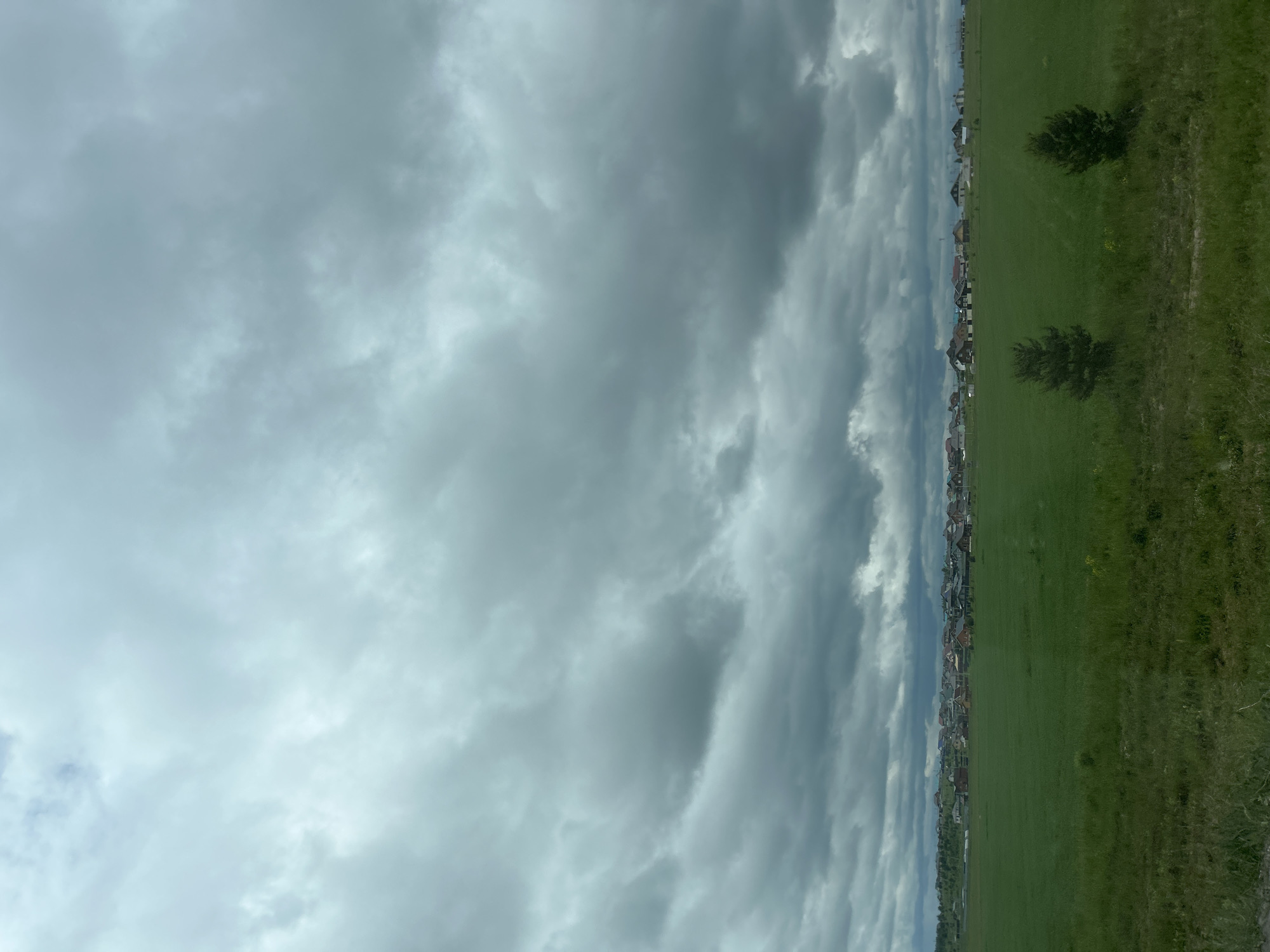 The image depicts a rural or semi-rural landscape under an overcast sky, located in Yus'ki, Russia. The upper two-thirds of the frame are dominated by a dense, grey cloud cover, consistent with stratocumulus or nimbostratus formations, with no direct sunlight visible. A faint lighter patch, possibly indicating thin clouds or a break, is discernible in the upper left quadrant.
Below the horizon, a line of residential structures, appearing as a village or small settlement, extends horizontally across the middle ground. These structures exhibit varying roof colors, primarily dark brown, grey, and some lighter shades, and appear to be single or two-story buildings. A band of darker green foliage and trees is visible on a slight rise behind the houses, indicating a wooded area.
The foreground and immediate mid-ground consist of a large, uniformly green expanse of cultivated field or meadow. Within this green area, two small, dark green coniferous trees stand in isolation: one positioned slightly right of the center and the other further to the right, both occupying the lower third of the image. The extreme bottom edge of the frame reveals a narrow strip of less cultivated, rougher grass and dirt. No individuals, animals, or discernible human activity are present in the visible scene.