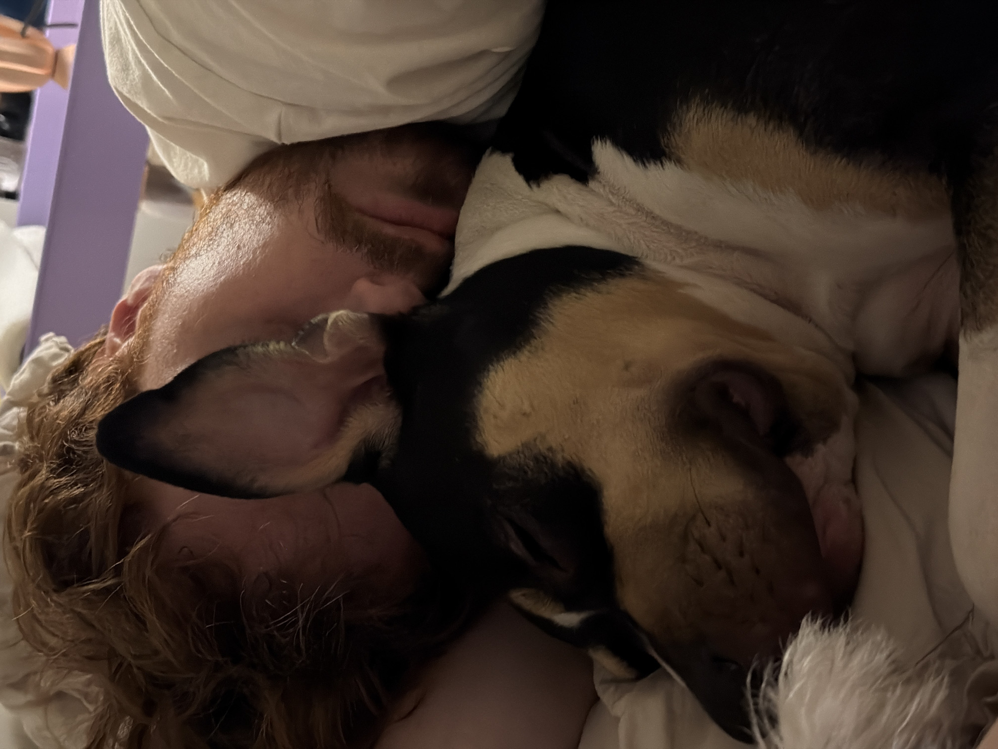 A fair-skinned person with red hair and a beard is lying in bed with a tri-color (black, tan, and white) dog. The dog is nestled against the person's face, with its head resting on the person's chest and shoulder. The scene appears to be indoors, likely a bedroom. There is no information available in the image that suggests the location is Tel-Aviv, Israel.