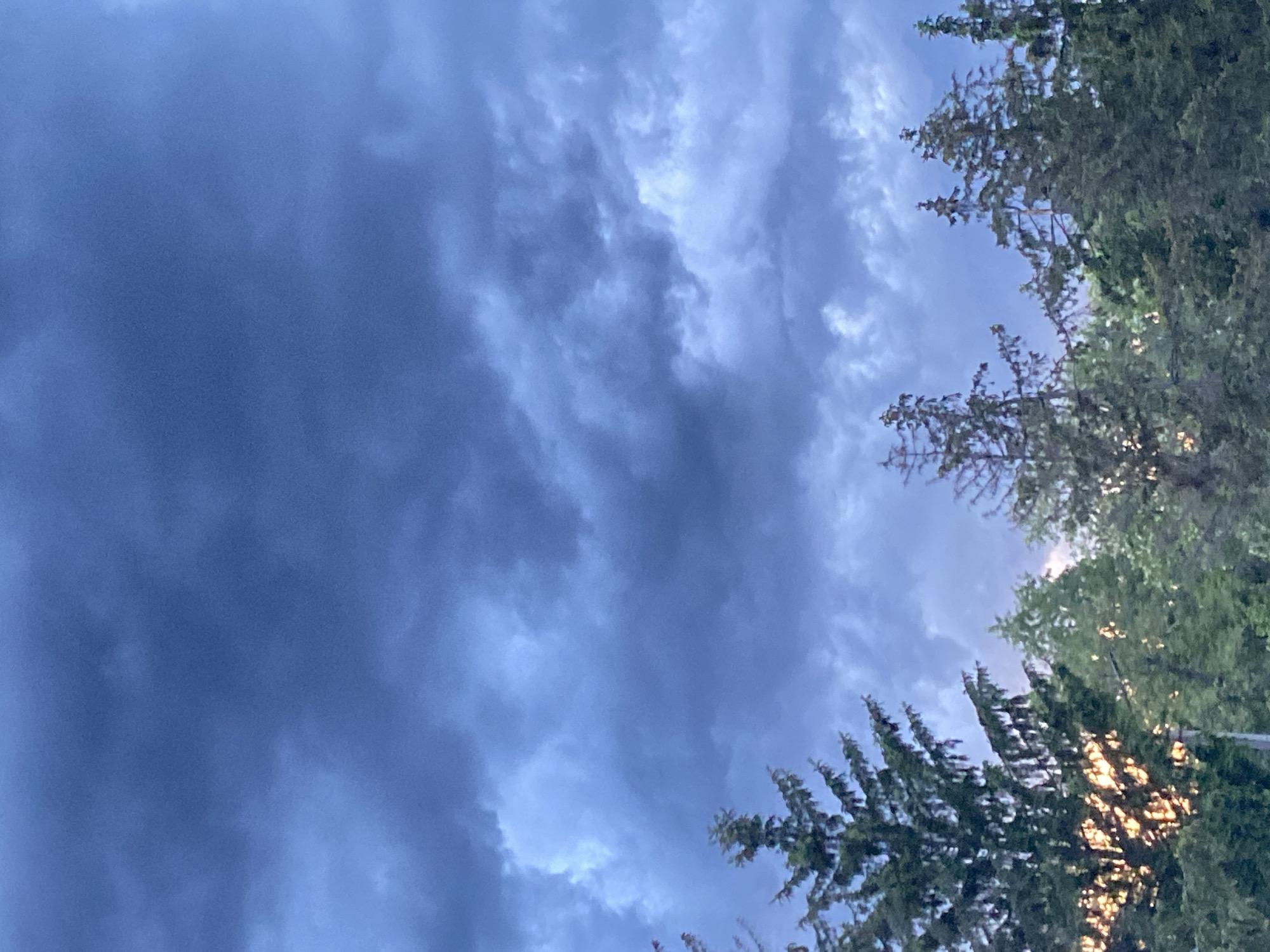 The image depicts a sky with dark, cloudy formations, likely indicative of an approaching storm. Some trees are visible on the right side of the frame. The sun is shining through some parts of the trees. The location is Unknown, Unknown.