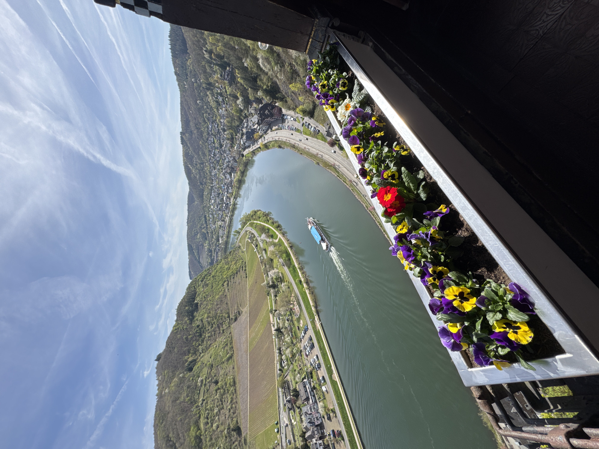 The image, taken from a high vantage point, captures a scenic view of Cochem, Germany, along the Moselle River. A large river cruise ship is navigating the bend in the river. The town nestles between the river and the surrounding hills. Vineyards can be seen on the hillsides. A flower box containing pansies and one red flower is visible in the foreground, suggesting the photograph was taken from a balcony or window. The sky is blue with scattered clouds.