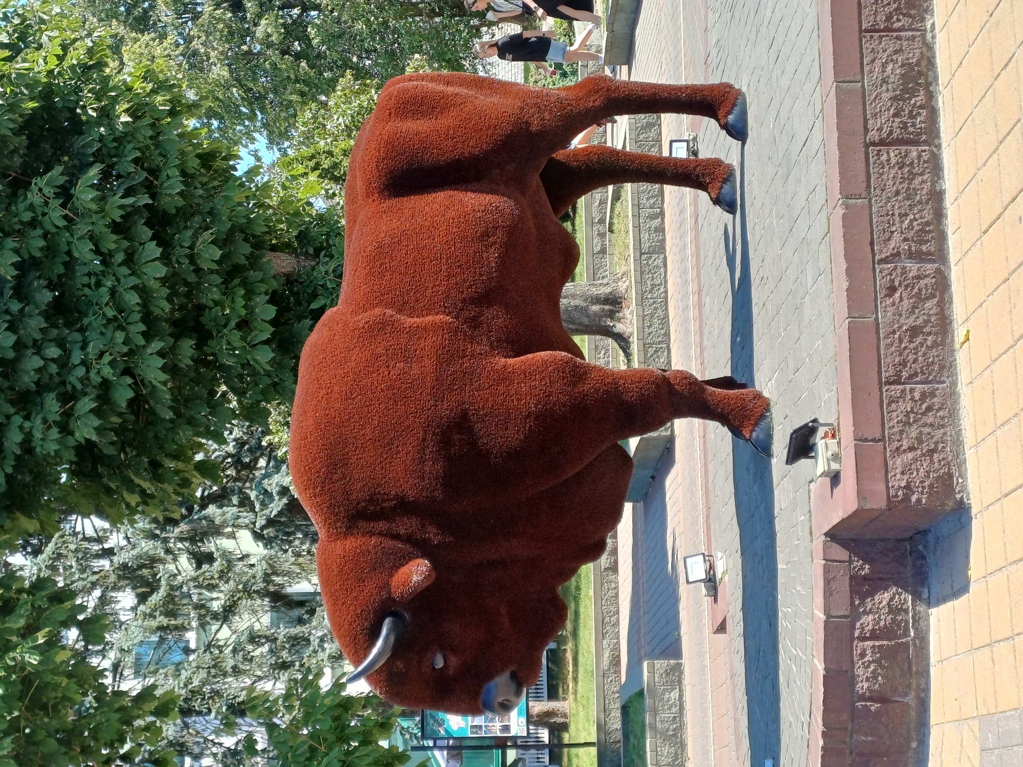An outdoor, eye-level, full-shot photograph captures a large, reddish-brown, textured sculpture of a bison standing on a paved area. The sculpture is positioned to the left of the frame, facing left. The bison has dark hooves, a dark muzzle, and curved horns. Behind the sculpture, a paved walkway with people can be seen. Two young women are walking on the paved area in the middle ground to the right of the bison. One woman is wearing a black t-shirt and a light denim skirt, while the other is wearing a black dress. In the background, there are trees with green foliage and a light-colored building. The ground in the foreground is paved with square bricks in a lighter color. The sculpture is situated in a park-like setting in the city of Kobryn, Belarus, likely near the central promenade.