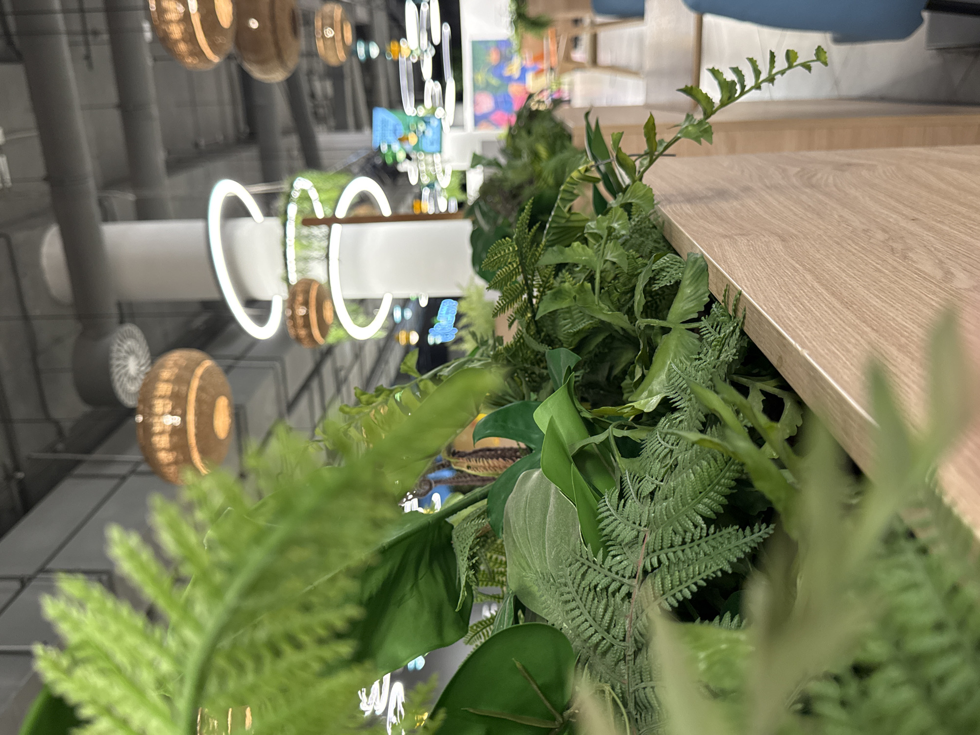 The image shows a close-up view of an indoor setting, possibly a cafe or restaurant, decorated with lush greenery along the edge of a wooden countertop or table. The environment appears modern with decorative circular light fixtures hanging from the ceiling and reflective surfaces creating a sense of depth. In the background, one can see glimpses of a colorful display or artwork, suggesting a contemporary design. The focus is on the variety of green plants, including ferns and leafy foliage, which creates a vibrant, fresh atmosphere. The upside down perspective adds to the visual interest, making the location details less distinct, but the modern interior design and lighting hints at a stylish urban setting. While the image location is stated as Khimki, Russia, nothing in the image confirms the exact location.