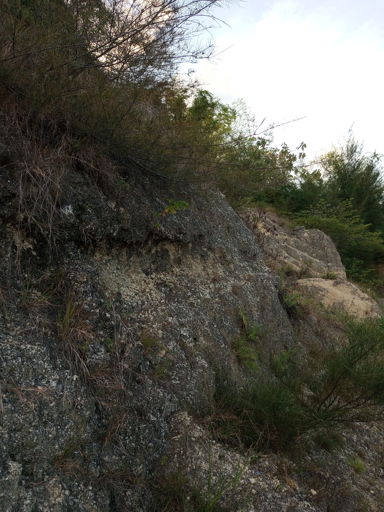 The image depicts a rocky hillside in Lhokseumawe, Indonesia. The hillside is covered in sparse vegetation consisting of grasses, small shrubs, and some trees along the upper edge. The rock face is layered, with a darker, rougher textured upper section above a lighter, more granular section. The sky is visible at the top of the frame, appearing overcast. There is no sign of people, animals, or human construction other than the cut hillside.