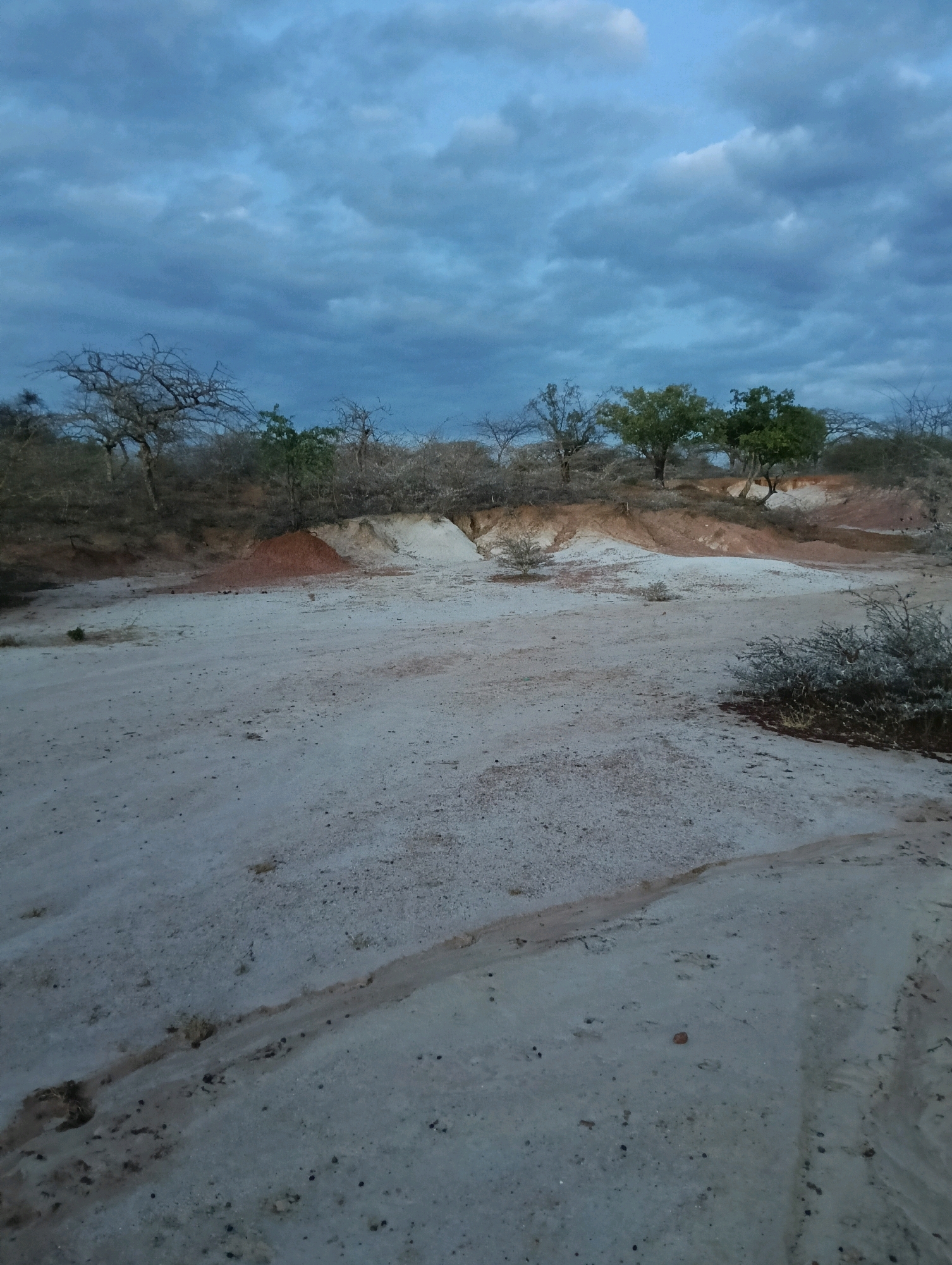 The image depicts a dry, sandy terrain with scattered vegetation under a cloudy sky. The ground is composed of light-colored sand with some reddish-brown patches, suggesting areas of exposed soil or sand deposits. A gentle slope rises in the background, revealing layers of soil in shades of white and red, indicative of erosion or natural geological formations. Several trees, some bare and others with foliage, are visible on the slope and in the distance. A small pile of reddish soil is noticeable on the left side of the slope. The overall scene is desolate and appears to be an outdoor natural landscape. The location is the Mutitu/Kaliku ward in Kenya, characterized by arid or semi-arid conditions.