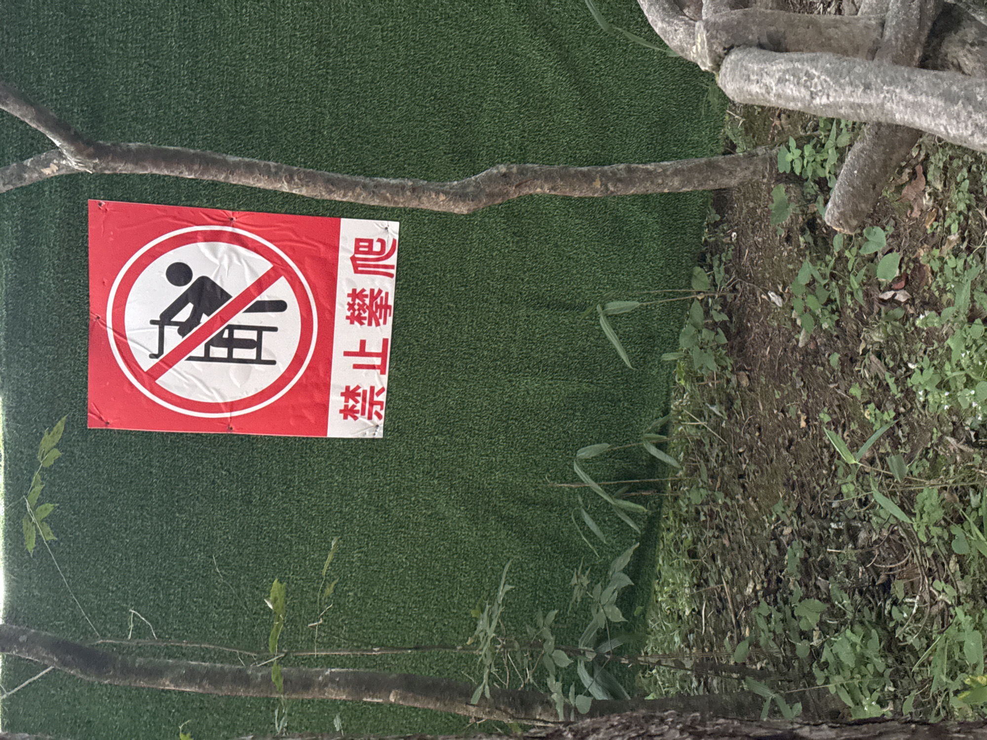 The image shows a red and white prohibition sign with Chinese characters on a green, textured wall. The sign depicts a black silhouette of a person climbing a ladder within a red circle with a diagonal line, indicating "no climbing." Below the symbol, the Chinese characters "禁止攀爬" (jìnzhǐ pānpá) translate to "no climbing." The sign is positioned outdoors, with trees and foliage in the foreground and background, suggesting a natural or park-like setting. The ground is covered with dirt, leaves, and low-lying plants. The presence of the sign implies a warning against climbing on the textured wall, which might be a fence or part of a structure. The location is identified as Huangshan District, China.