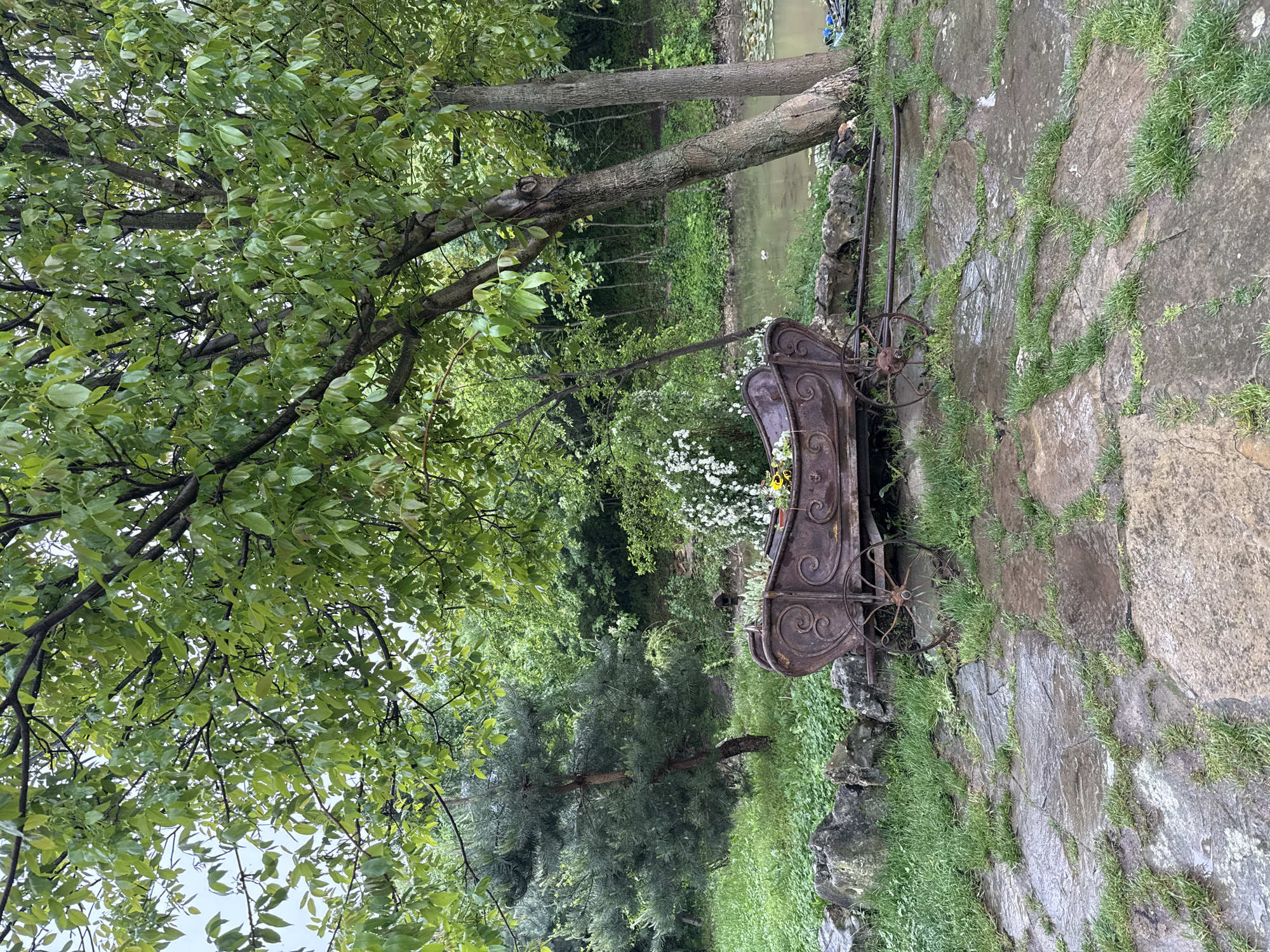 The image shows a park scene possibly located near Lukovit, Bulgaria. A weathered, decorative iron carriage or planter sits among trees and greenery next to a small body of water. The ground is paved with irregular stone slabs with grass growing in the cracks. A tree with dense green leaves occupies the left side of the frame. The sky appears overcast.