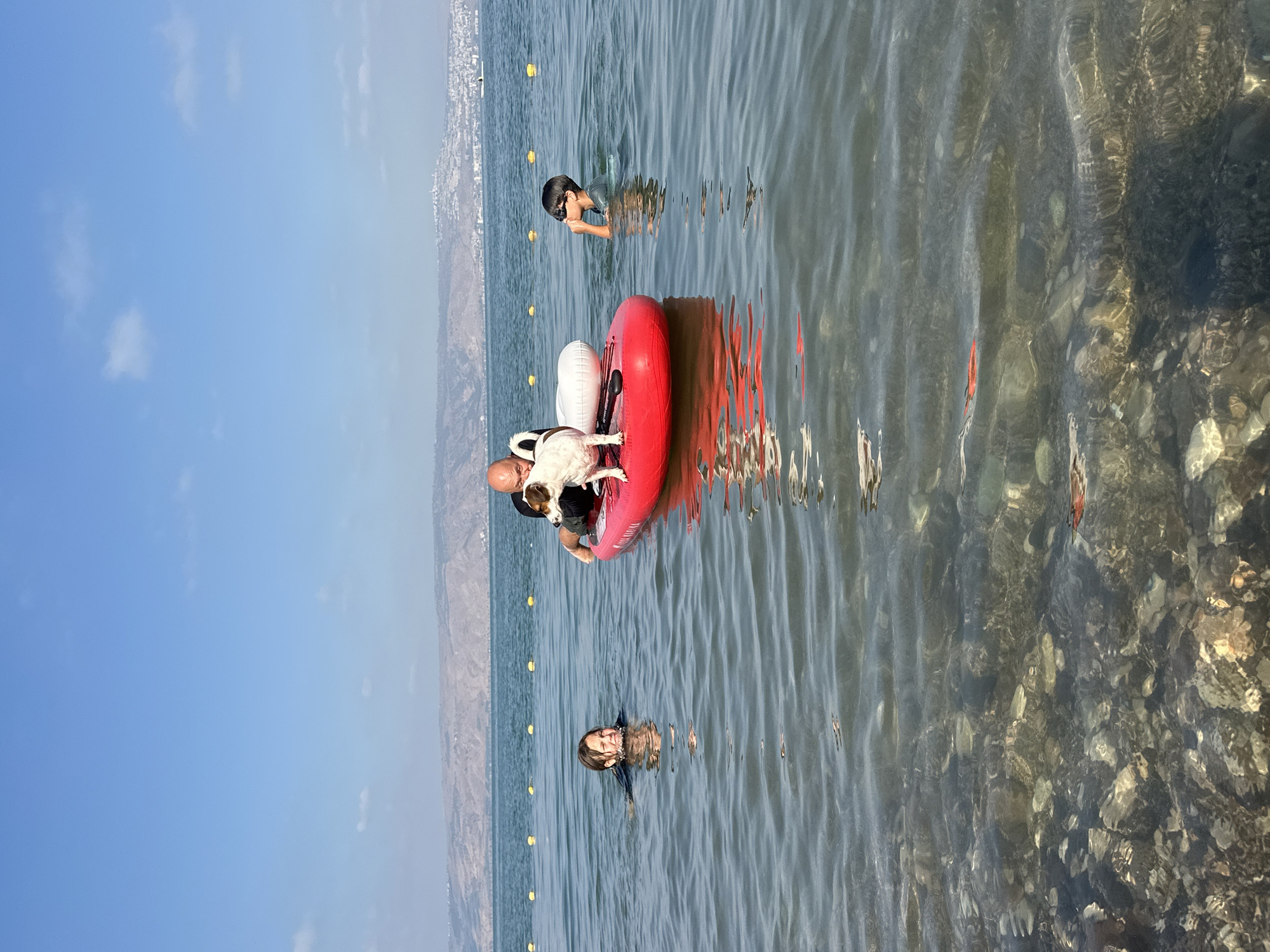 In a body of water with visible rocks and pebbles on the bottom, three individuals and a dog are present. A man sits on a red paddleboard, holding a small white and brown dog. To his left, a child with wet hair is swimming. To his right, another child wearing sunglasses is partially submerged in the water, with one hand near their mouth. In the background, a hazy shoreline with buildings and hills stretches across the horizon under a clear blue sky. Yellow buoys are visible in a line across the water. The scene appears to be the Sea of Galilee in Tiberias, Israel.