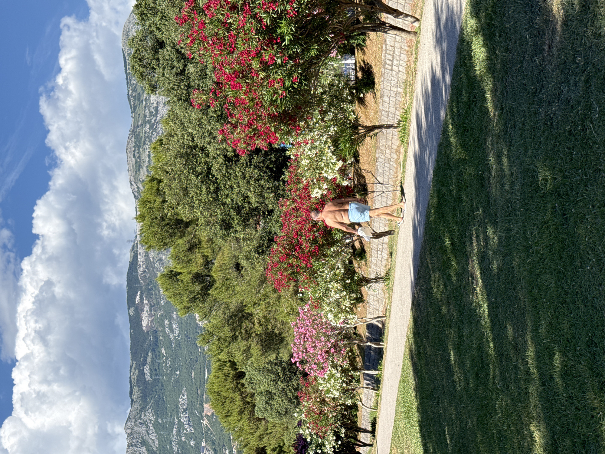 A shirtless man wearing light blue swim shorts and white flip-flops walks along a paved path lined with blooming oleander bushes. The path is bordered by a low stone wall and a grassy area. In the background, a dense line of trees and a mountainous landscape under a partly cloudy sky are visible. The scene appears to be a park or walkway in Budva, Montenegro, likely near the coast, given the vegetation and terrain. The lighting suggests it is daytime, with sunlight casting shadows across the grass.