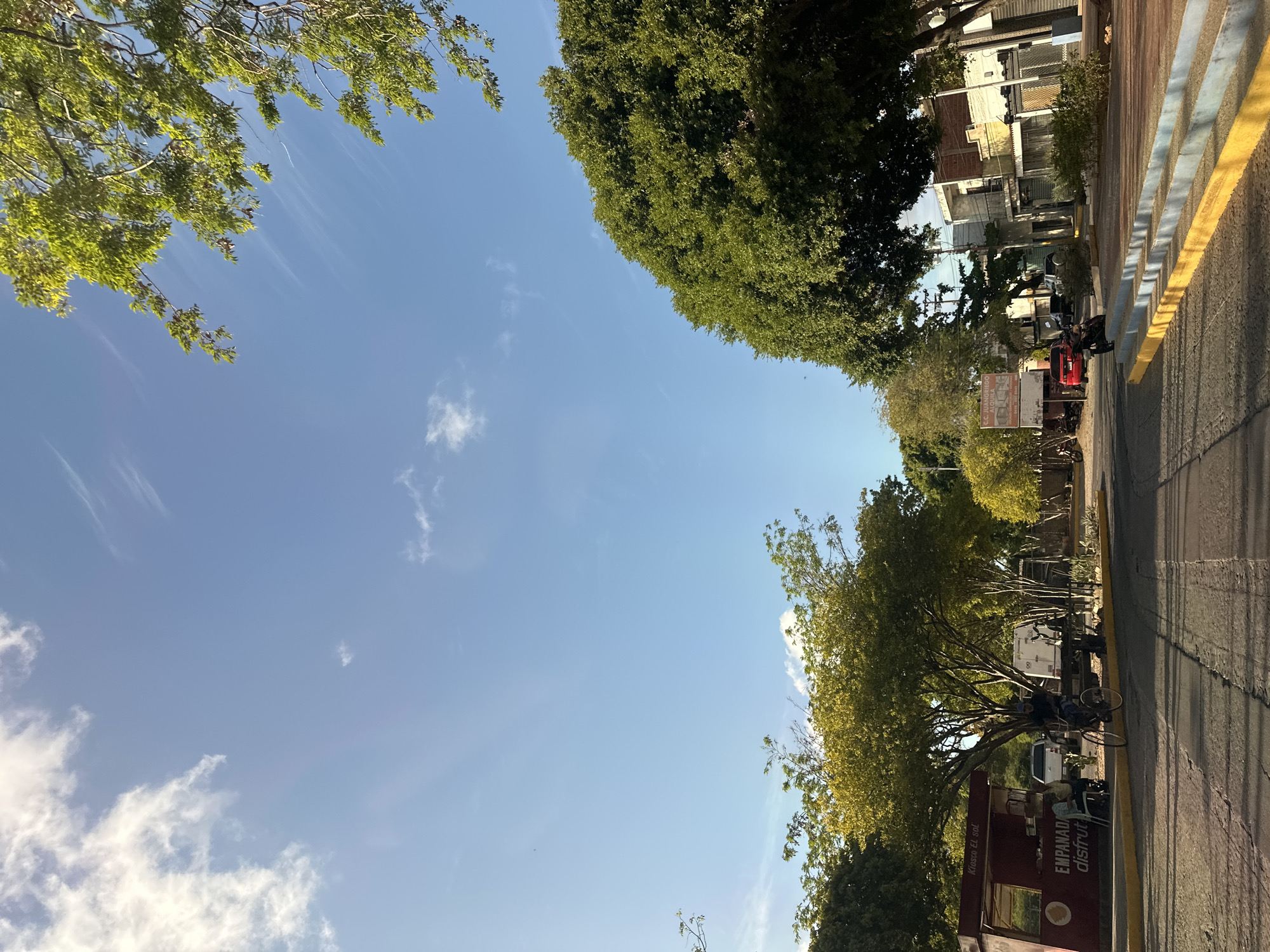 A daytime, eye-level outdoor shot captures a street scene in Juan Griego, Venezuela. The sky is a clear, pale blue with wisps of white clouds, illuminated by bright sunlight. Lush green trees with dense foliage dominate the right and upper portions of the frame, with a large, mature tree on the right and smaller, lighter green trees on the left.
In the foreground, a paved street is visible, marked with yellow lines and shadows from the surrounding trees. To the left of the street, there is a low, red kiosk labeled "Kiosko El Sol" and "Empanadas." Two people are seated on chairs next to the kiosk. Further down the street, a person on a bicycle is riding towards the camera.
The middle ground shows more trees and a few buildings. On the right, a row of buildings appears to be shops or residences, with visible windows and doorways. A set of concrete steps painted with yellow and blue accents is located in the lower right corner of the image. Several motorcycles are parked along the street. The overall impression is that of a sunny, moderately populated urban environment.