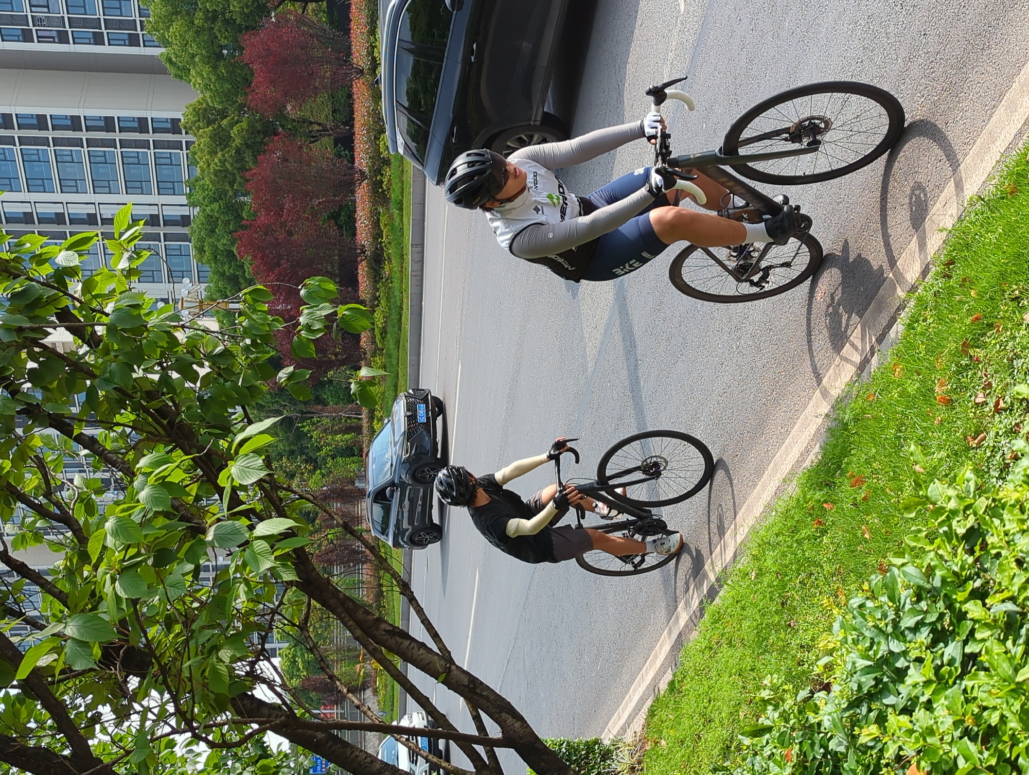Two cyclists are riding road bicycles on an asphalt path or road, flanked by a grassy verge and trees, with urban buildings and parked cars in the background. The image is taken during the daytime, indicated by the bright lighting and shadows cast by the cyclists and bikes.
In the foreground, a man in a white and dark cycling jersey with "MERIDA" text, grey long sleeves, dark shorts with "EKÈ" branding, a black helmet, and gloves is actively pedaling his bicycle. His bike features disc brakes. Further back, another man, similarly dressed in a black t-shirt, grey long sleeves, dark shorts, black helmet, and gloves, is also cycling. Both appear focused on their ride.
To the left of the cyclists, a neatly mowed grassy area with some shrubs and bushes runs alongside the path. Beyond this, a row of trees with green and reddish-brown foliage separates the path from a modern, multi-story building featuring numerous windows. To the right of the cyclists, the asphalt path transitions into a road where a dark SUV is parked, displaying the license plate "川C636F," which indicates Sichuan province, consistent with the Jiangjin, China location. A white car is partially visible behind the tree line further down the road. The overall scene depicts a recreational or training cycling activity in a well-maintained urban or suburban environment.