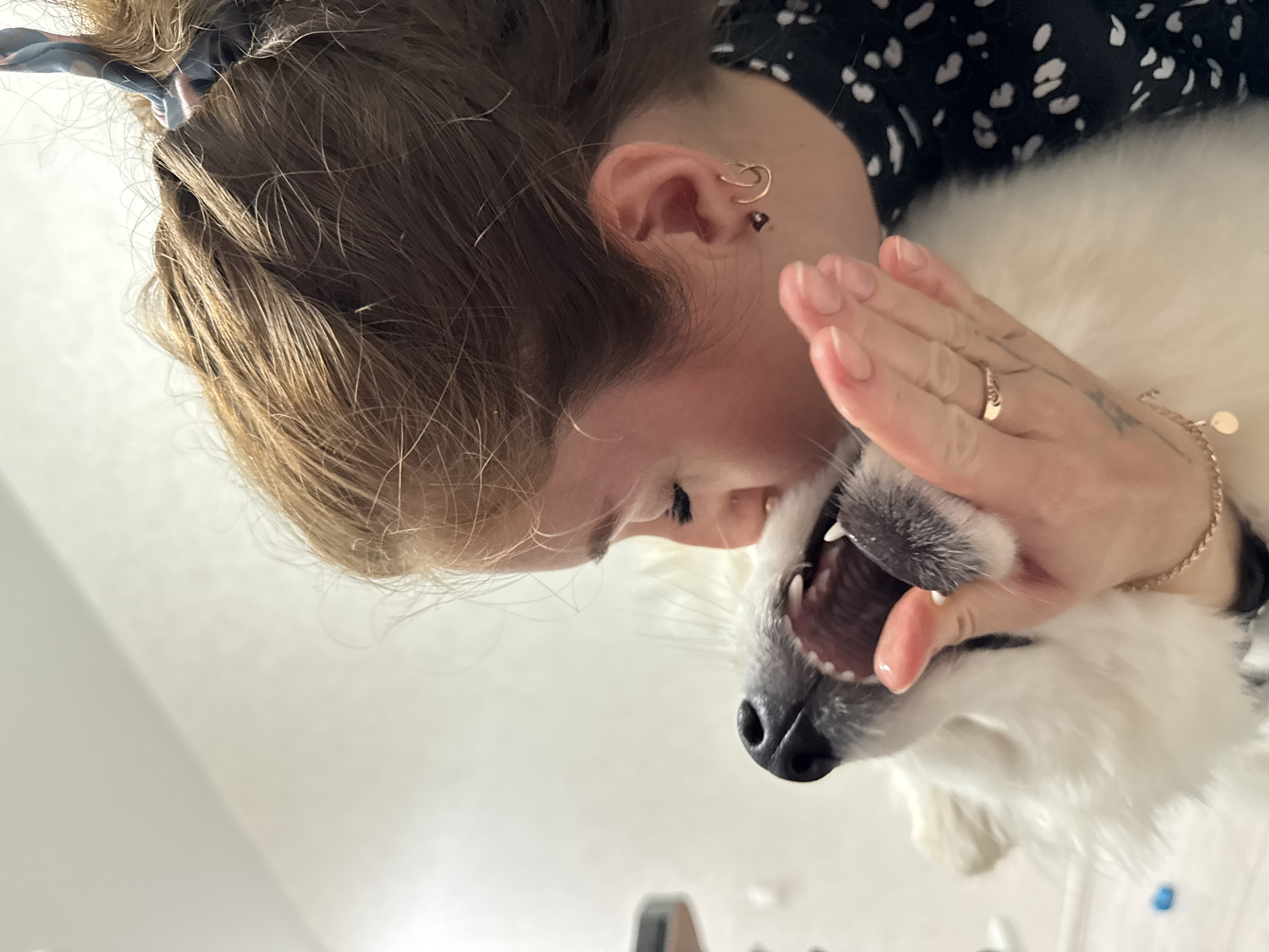 The image, taken in Chaikovsky, Russia, is a close-up, rotated shot capturing an affectionate and playful interaction between a person and a white fluffy dog indoors.
The primary subjects are a person, likely female, and a small to medium-sized dog. The person has light brown hair, styled with a patterned scarf or hair tie. She wears multiple gold-colored earrings, including a helix hoop and lobe piercings, and a dark top with a white speckled pattern. Her eyes appear closed, suggesting a moment of tenderness or playfulness. Her left hand, adorned with a gold-colored ring on her ring finger and a delicate gold chain bracelet, is positioned near the dog's mouth. Her nails are neatly manicured with a light polish.
The dog, with dense white fur, a black nose, and whiskers, has its mouth wide open, revealing sharp teeth and its pink tongue. This open-mouthed expression seems to indicate excitement or playfulness, rather than aggression, in response to the person's interaction.
The activity shows a close bond, with the person intimately engaging with the dog, possibly playing or sharing an affectionate moment. The setting appears to be indoors, indicated by the plain, light-colored, out-of-focus background. The lighting is bright and even, consistent with a daytime scene. No text is visible in the image. The overall mood conveyed is one of warmth, joy, and companionship between the person and their pet.