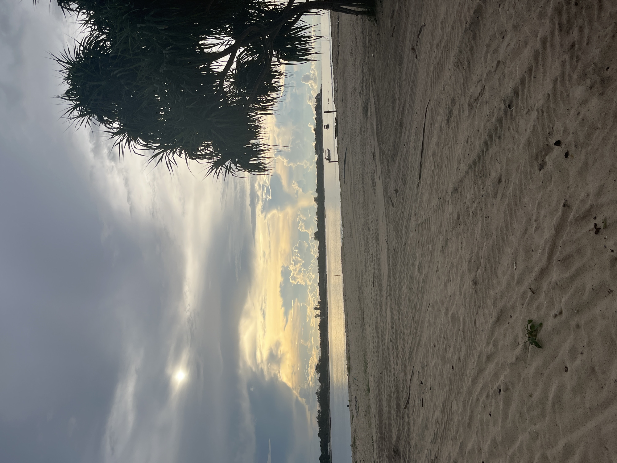 The image depicts a serene beach or lakeside landscape, likely captured during either sunrise or sunset. In the foreground, on the left side, the dark silhouette of a tree, possibly a pandanus palm with spiky leaves, frames the scene. To the right, a wide expanse of light-colored sand, showing ripples and subtle indentations, stretches across the lower and right parts of the frame. A calm body of water occupies the mid-ground, acting as a reflective surface for the sky.
In the far distance across the water, faint outlines of small boats or other structures are visible. The sky above is dynamic, filled with a mixture of dark, heavy clouds and bright, illuminated formations. The sun, a brilliant white disc, shines low through a partial break in the clouds, casting warm, golden hues onto the cloud edges and reflecting softly on the water's surface. A small green plant sprouts from the sand in the bottom right corner.
The overall impression is one of tranquility and natural beauty. There is no specific activity taking place, only the quiet stillness of the environment. No text is visible in the image. The tropical-looking tree and sandy shore suggest a coastal or large lakeside setting in a warm climate, consistent with Indonesia as a potential location.