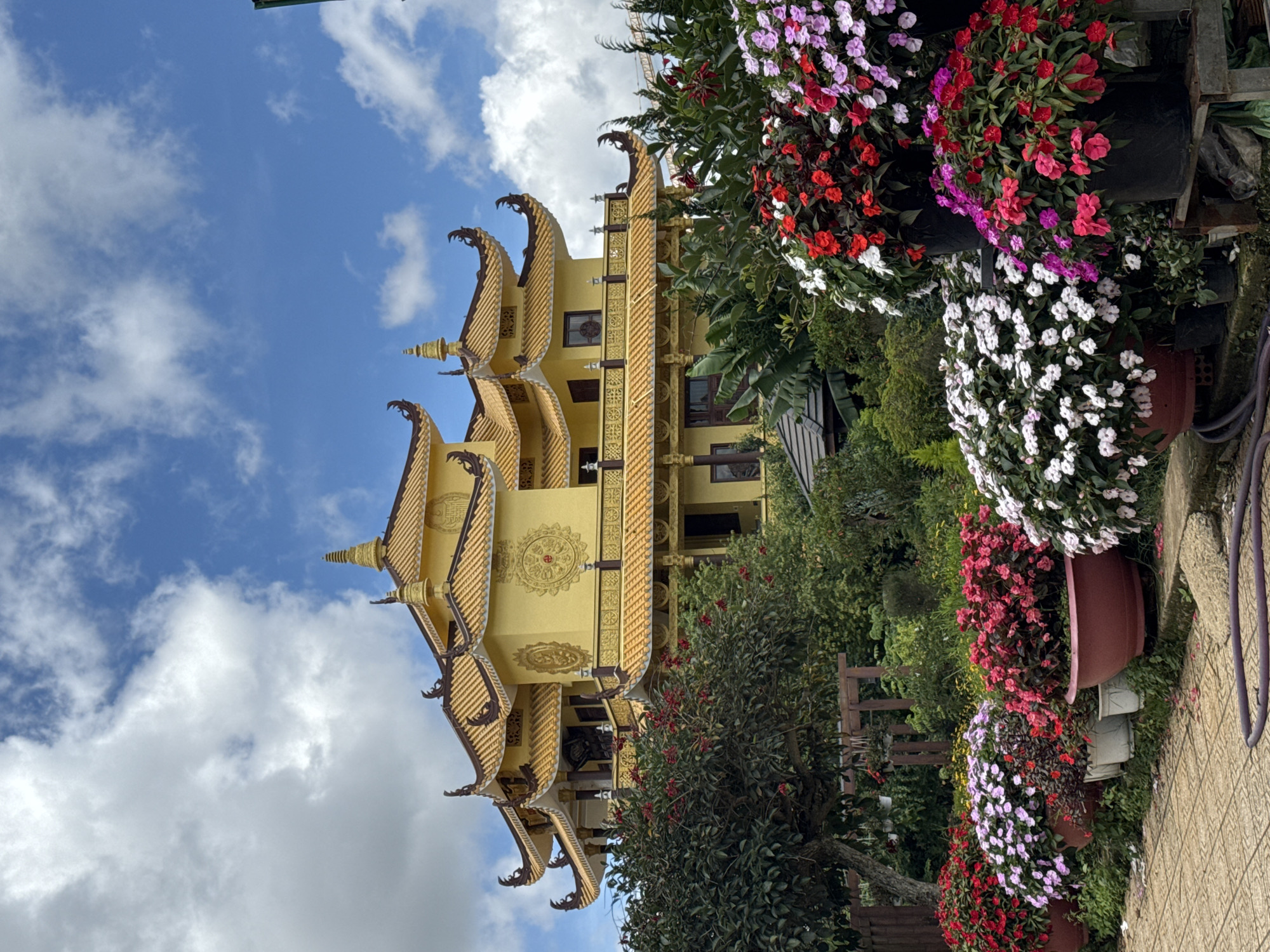 The image depicts a vibrant scene in Da Lat, Vietnam, featuring a striking yellow Buddhist temple with traditional tiered, curved roofs, set against a backdrop of a bright blue sky dotted with white clouds. In the foreground, a lush display of colorful flowers in various pots, including red, pink, white, and purple varieties, lines a tiled pathway. Trees and dense green foliage surround the temple, suggesting a garden or park setting. The architecture of the temple is ornate, with intricate decorative elements on its facade. The overall atmosphere is serene and picturesque, characteristic of Da Lat's reputation as a city of flowers and temples.