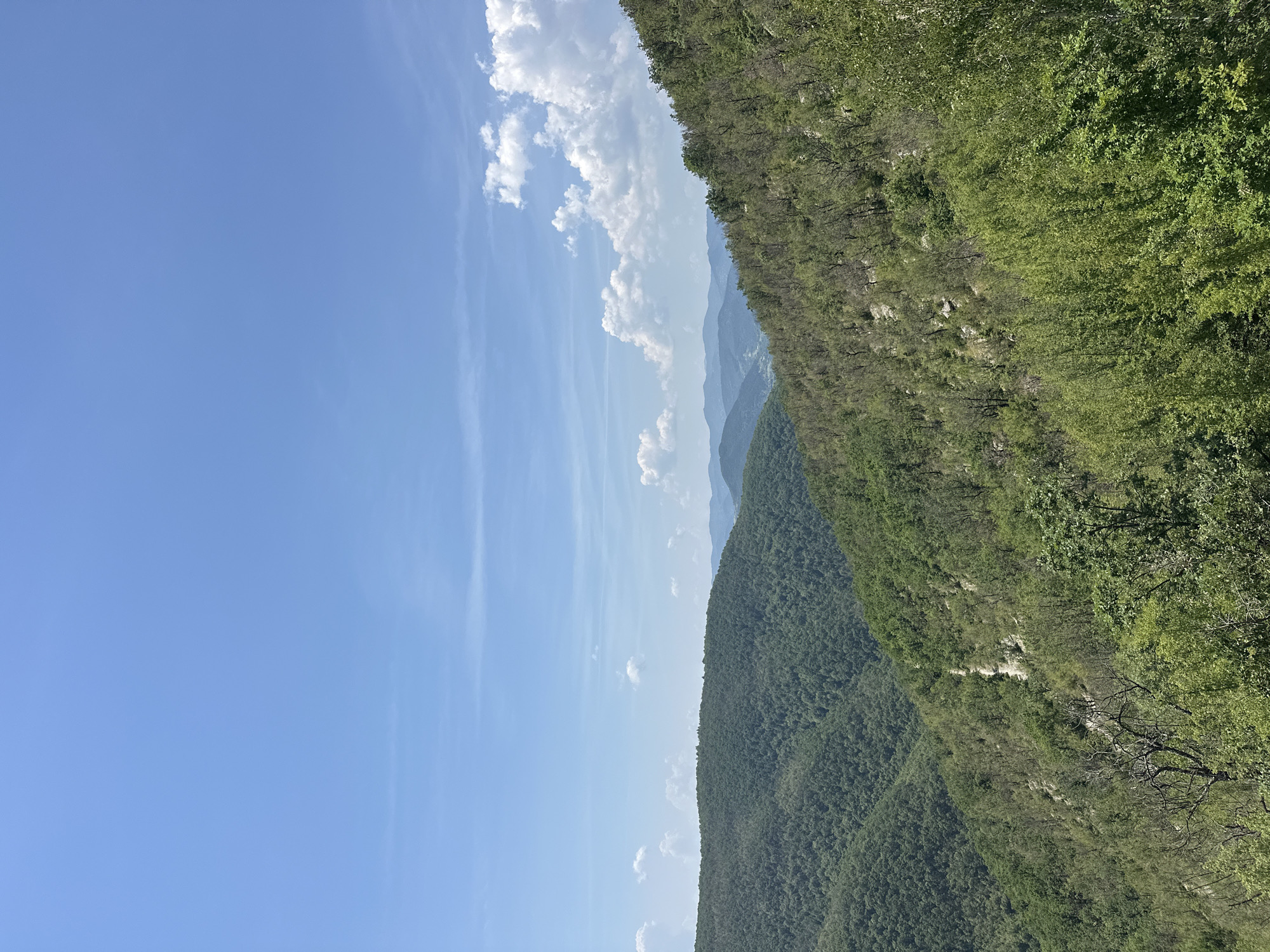 The image presents a panoramic natural landscape, likely situated in the mountainous region near Ilinitsa, Bulgaria, under clear daytime conditions. The upper two-thirds of the frame are dominated by a bright, clear blue sky, featuring scattered white cumulus clouds that are more prominent and voluminous on the right side. Faint, wispy cirrus clouds are discernible at higher altitudes.
The lower third of the image transitions into a vast expanse of forested hills and mountains. In the immediate foreground, particularly on the right, a steep slope is visible, densely covered with vibrant green deciduous trees. Interspersed within this foliage are areas of lighter green vegetation, some visible lighter-colored rock or soil patches, and individual trees with noticeably sparse leaves or bare branches, indicating varied growth patterns or species.
Moving towards the mid-ground and background, successive layers of hills are entirely cloaked in dense, dark green forest. As the terrain recedes into the distance, atmospheric haze imparts a progressively muted, blue-gray hue to the farthest mountain ranges. A subtle valley or depression is faintly visible between these distant layers, with indistinct light patches that could indicate very distant human habitation or clearings. No people, animals, or prominent man-made structures are discernible in the immediate or mid-ground.