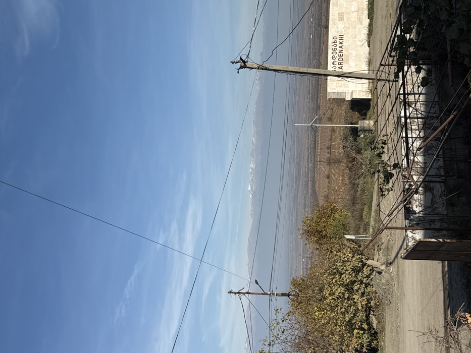 The image displays an outdoor landscape in the vicinity of Bakurtsikhe, Georgia, overlooking a valley with distant snow-capped mountains under a clear blue sky with minimal cirrus clouds. Numerous dark power lines traverse the upper and middle sections of the frame. Two dark utility poles, each fitted with a streetlight and multiple electrical wires, are positioned on the left and right sides of the mid-ground.
The mid-ground reveals a wide valley containing extensive cultivated fields, predominantly brown and reddish-brown, indicative of autumnal or dormant vegetation, arranged in distinct rows. A light atmospheric haze partially obscures the valley's depth. On the right side of the mid-ground, a light-colored concrete or stone retaining wall features a sign with Georgian script and the Latin word "ARDENAKHI." Directly in front of this sign, a small, white, vertical structure, resembling a miniature wind turbine or weather vane, stands on a concrete base.
To the left of the mid-ground, an unpaved road runs horizontally, bordered by deciduous trees and shrubs displaying yellow and brown fall foliage. In the immediate foreground, a dark, skeletal metal pergola structure, partially covered with residual dark leaves, occupies the lower center and right. A dark metal gate, appearing partially open, is positioned to the left of the pergola structure. No human figures or active subjects are present in the scene.