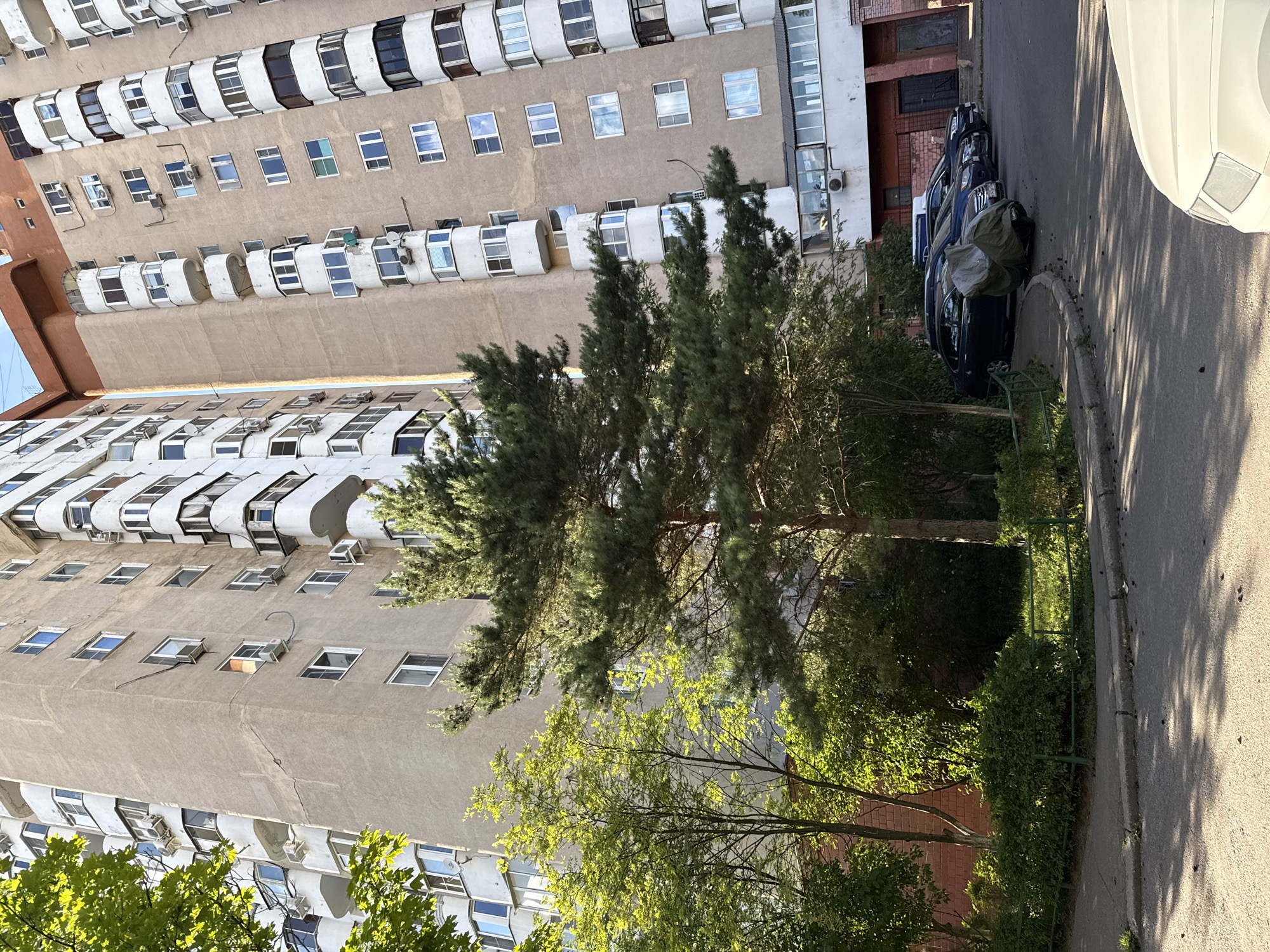 A low-angle, full shot captures a tall, cream-colored apartment building in an urban setting. The building features a series of recessed balconies with white railings, each housing multiple windows. Numerous air conditioning units are visible attached to the exterior walls. To the left, lush green foliage and trees partially obscure the building's facade, with bright green leaves illuminated by sunlight. In the foreground, a paved road and sidewalk are visible, with several parked cars, one of which is covered in a grey tarp. Shadows of tree branches are cast across the road.