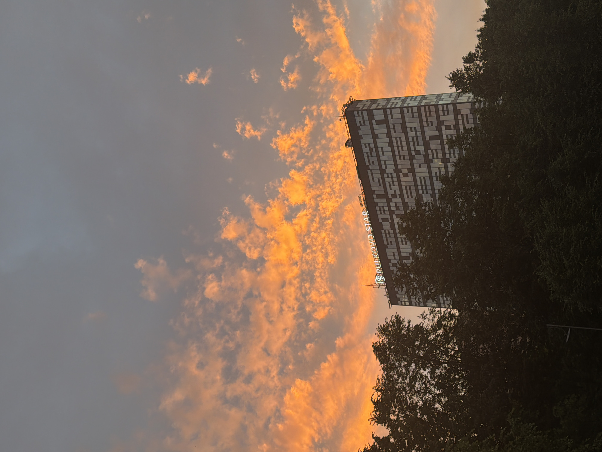 A tall, dark building with a grid of windows and a neon sign that reads "PULKOVO STAR" on its rooftop stands behind a dense cluster of dark green trees. The sky above is a gradient of gray to pale blue, interspersed with scattered clouds illuminated in vibrant shades of orange and yellow, suggesting it is either sunrise or sunset. The image appears to be a cityscape photo, likely taken from a lower elevation, looking up towards the building and the sky.