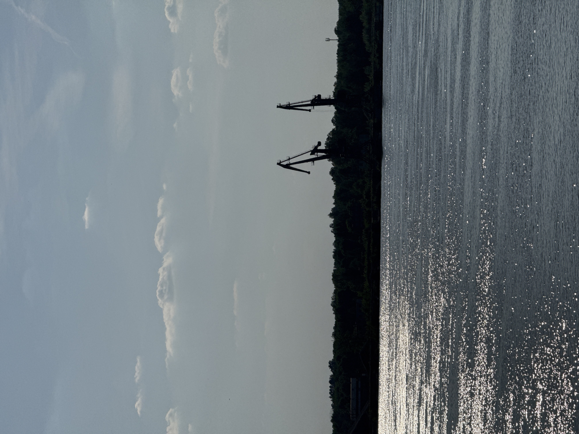 The image shows a landscape view of the Kama River in Chaikovsky, Russia. The sky is light blue with scattered white clouds. Two large, dark cranes are silhouetted against the horizon. The river's surface shimmers with reflected sunlight. The bank is lined with a dense forest.