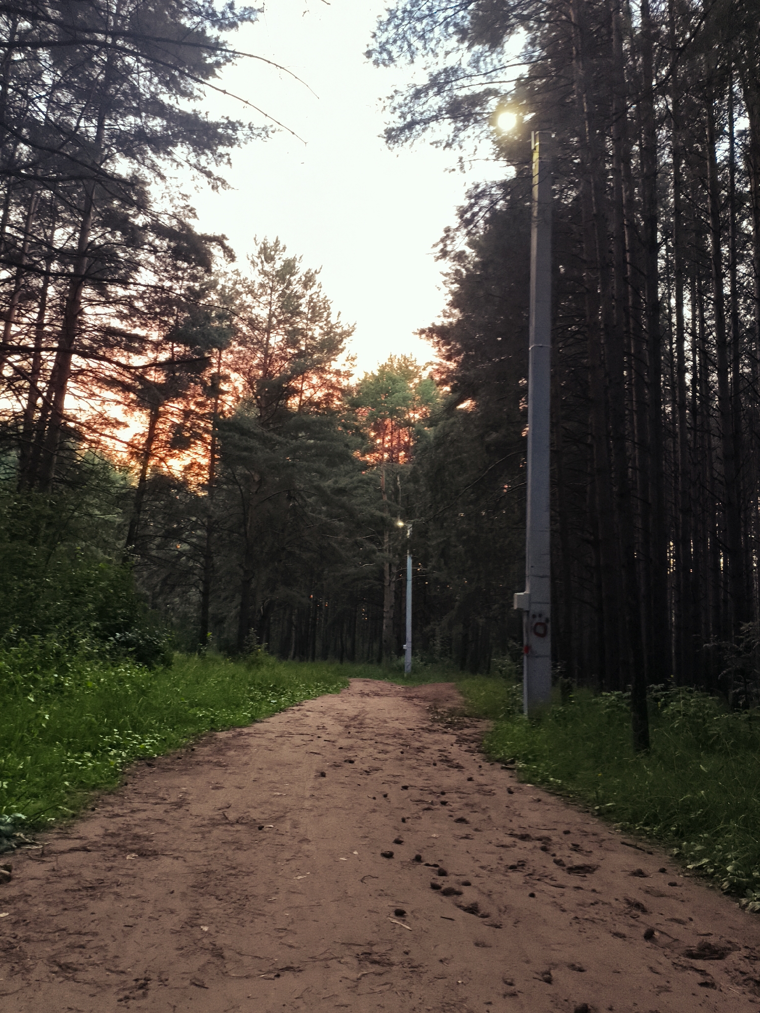A dirt path winds through a forest with tall trees on either side. The path is mostly clear but littered with small debris. The trees are densely packed, creating a shaded environment, but there are breaks in the canopy that allow sunlight to filter through. In the distance, the sky is bright, suggesting either sunrise or sunset. A street lamp stands on the right side of the path, illuminated by the sky. The overall impression is of a natural landscape within a city, likely a park or a forested area accessible to the public. The scene appears to be located in Chaikovsky, Russia, given the context provided. There are no people or animals visible in the image.