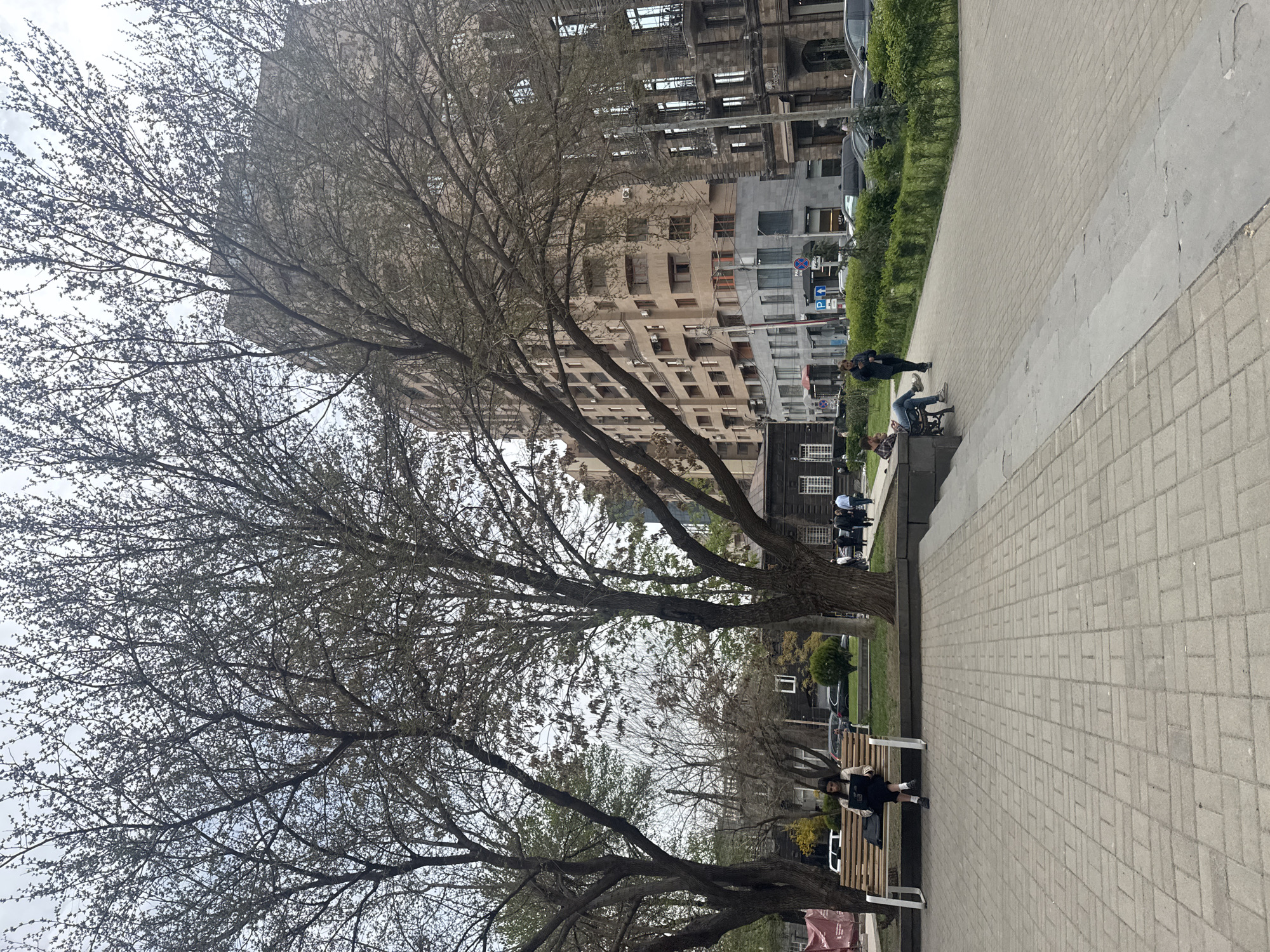 The image depicts a street scene in Yerevan, Armenia, featuring a tree-lined walkway with benches. Several people are seated on the benches. The walkway is paved with interlocking concrete pavers. Behind the trees, there is a tall building with multiple windows and some air conditioning units. A row of green bushes runs along the edge of the walkway. Several cars are parked along the street. The sky is overcast.