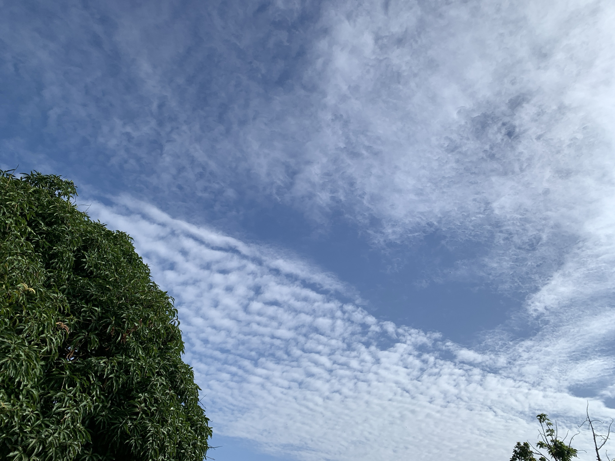 The image depicts a clear blue sky filled with scattered white, wispy clouds. On the left side, the lush green foliage of a large tree occupies a significant portion of the frame, its branches reaching upwards. Towards the bottom right, the tips of a few other trees with sparser leaves are visible, reaching into the sky. The scene appears to be an outdoor environment. The image was taken in Kuru Karama, Nigeria.