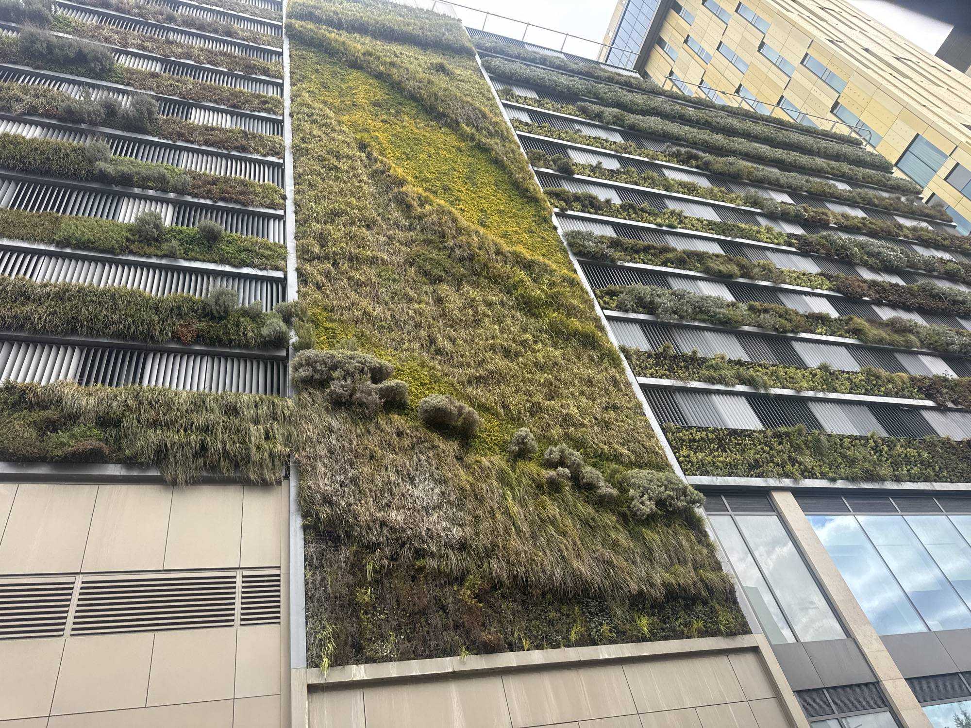 The image shows a multi-story building in Woking, United Kingdom, featuring a living wall. The wall is composed of various green plants and vegetation, arranged in horizontal layers and a vertical strip, covering portions of the building's facade. The building also has sections with windows and metal ventilation slats. The overall impression is one of biophilic design, integrating nature into the urban environment.