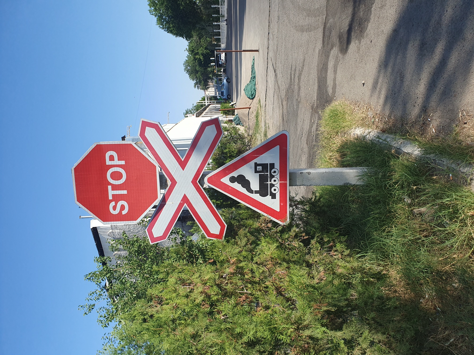 A roadside scene in Tashkent, Uzbekistan, features a prominent railway crossing signpost. The signpost displays three signs stacked vertically: a red octagonal "STOP" sign at the top, a white 'X' shaped railroad crossing sign with red borders below it, and a red and white triangular sign depicting a steam train at the bottom. To the left of the signpost is a large, dense green coniferous tree, and to the right is an asphalt road with a concrete curb and patches of dry grass. In the background, a low-rise building with white siding and arched windows is visible, along with other trees, parked cars, and a pedestrian walkway. The sky is clear and blue.
