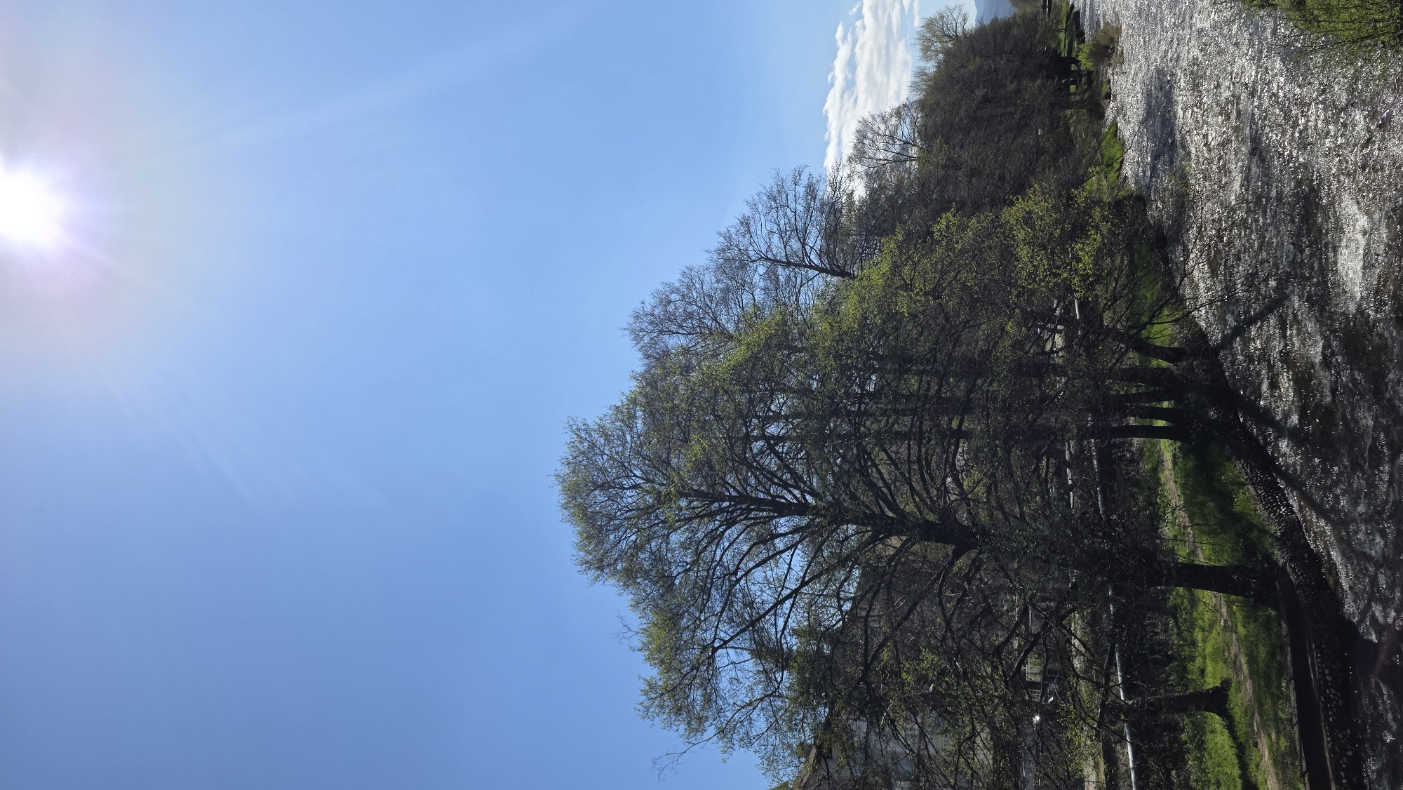 The image shows a view of a tree-lined area with a water body, possibly a river or canal. The sky is predominantly blue with a bright light source in the upper left, possibly the sun. The trees are varied in type and some have green foliage, indicating spring or summer. The water reflects light, creating a shimmering effect. The exact location in Blagoevgrad, Bulgaria cannot be determined from the image alone.