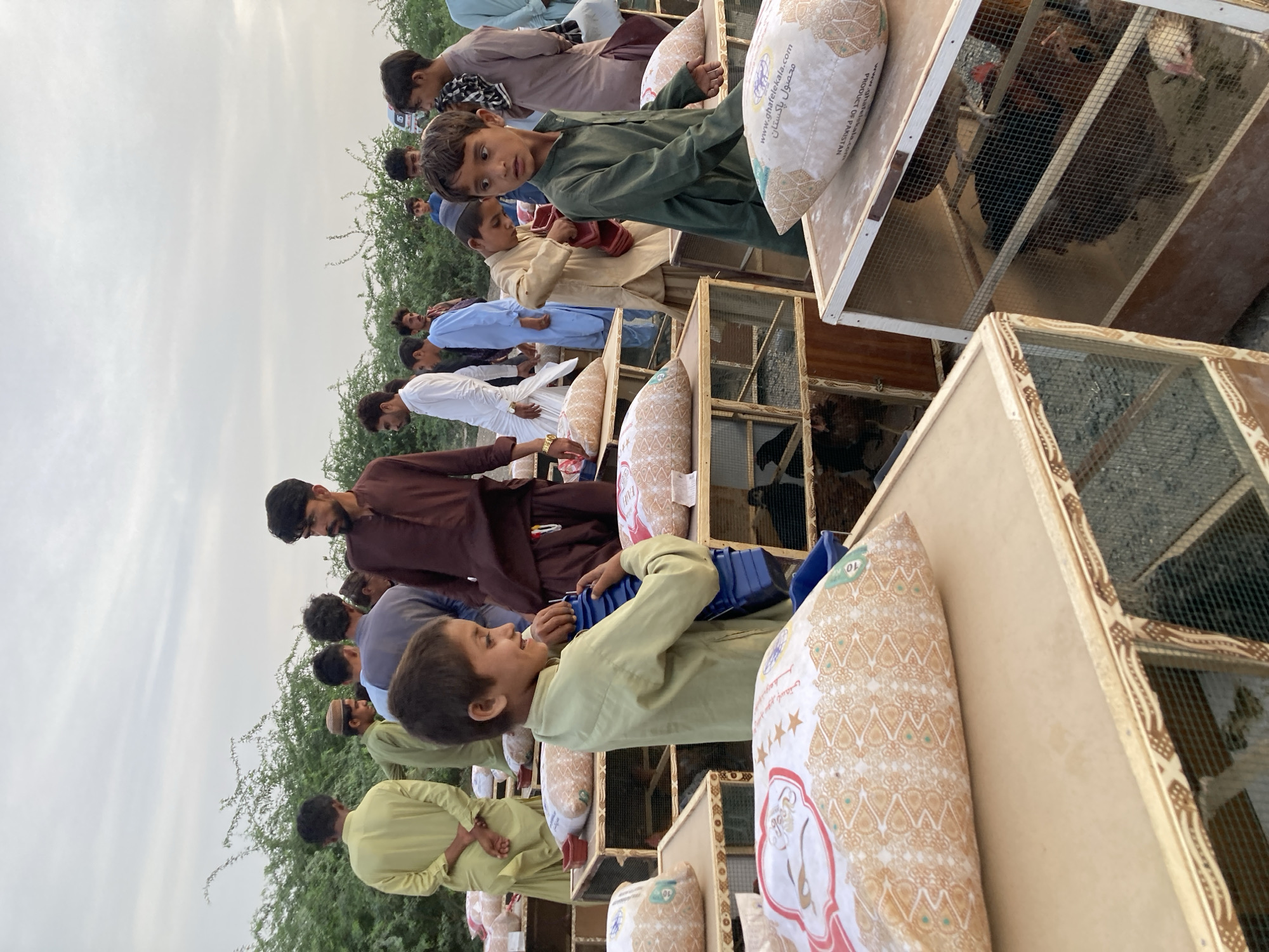 The image depicts an outdoor scene in Wayāro, Pakistan, likely a poultry market or animal fair. Numerous people, predominantly men and boys dressed in traditional South Asian attire like shalwar kameez, are gathered around rows of wooden and wire mesh cages.
Inside the cages, various chickens are visible, suggesting they are being displayed for sale or trade. On top of and beside many of these cages are large, light-colored sacks, presumably containing feed or other goods. One sack clearly shows the text "www.ghatelatala.com," "PRODUCT OF PAKISTAN," and "10 KG," along with some Urdu script.
The activity centres around observing the poultry. Several individuals are looking into the cages, while others are conversing. A young boy in a light green outfit in the foreground looks directly at the camera with a curious expression, holding a blue plastic object, possibly a container. Another young boy in a beige outfit is also visible near the cages.
The setting is outdoors under an overcast sky, indicating it is daytime, possibly late morning or afternoon, given the ambient light and lack of harsh shadows. Sparse green shrubbery and trees form the background, suggesting a rural or semi-rural environment. The overall mood appears calm and focused on the market activities.