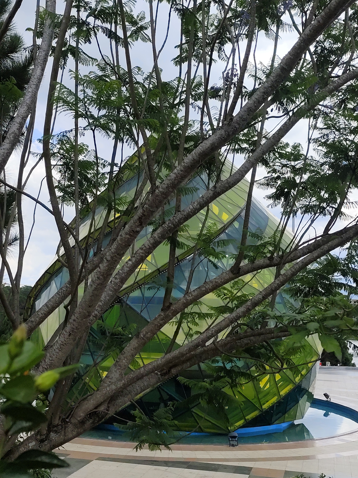 The image captures a unique architectural structure in Da Lat, Vietnam. A modern, geometric building, predominantly green and yellow, features numerous triangular glass panels. It's partially obscured by the branches of a tree in the foreground, which exhibits leaves and intricate branch patterns. The building is surrounded by a circular pool with turquoise-colored water. The setting appears to be a public or garden area, indicated by the paved walkway. In the pool, there are black cylindrical objects sitting partially submerged. The sky above is overcast, creating soft light throughout the scene.