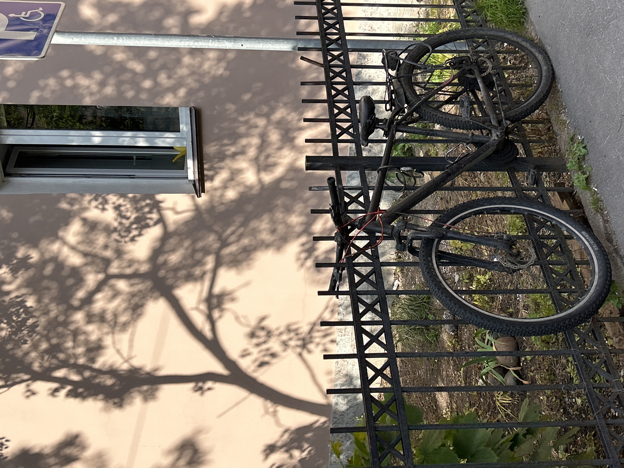 A black bicycle is parked and leaning against a black metal fence in front of a building with a light pink wall. The bicycle has knobby tires, a rack on the back, and disc brakes. The fence has a pattern of X's within rectangles. In the background, tree shadows are cast on the building wall and a window is visible, with a yellow object inside. A light pole with a blue and white accessibility sign is to the right of the bicycle. The ground is paved with asphalt and dirt.