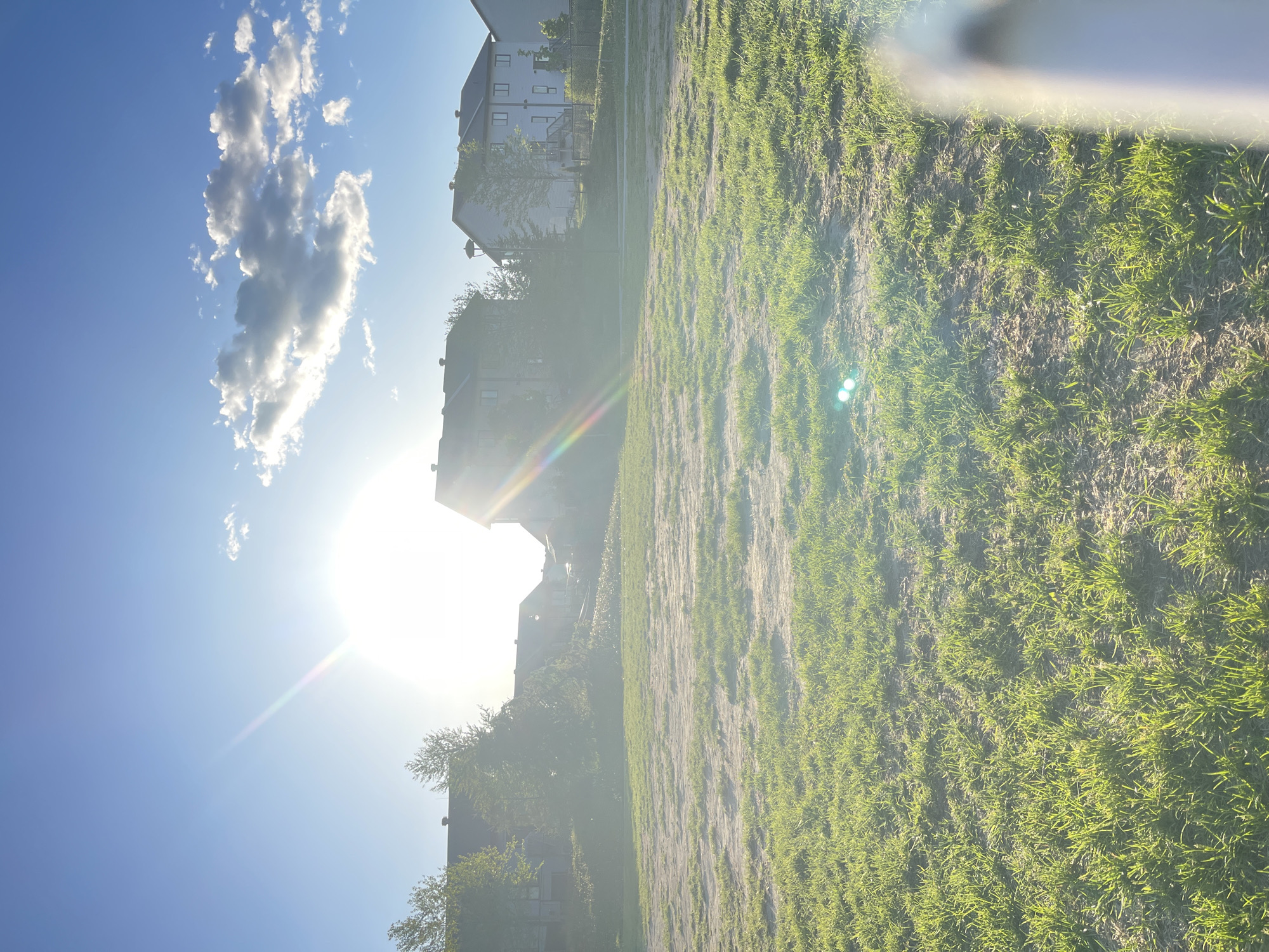 The image shows a sunny scene in Gatineau, Canada. A field of sparse grass covers the foreground and extends toward a row of apartment buildings in the background. The sky is blue with a few scattered white clouds, and the sun is shining brightly, creating glare and obscuring details of the buildings. There are no people visible in the image.