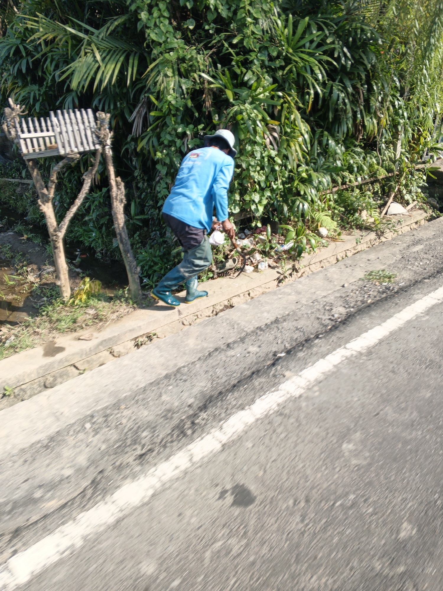 A person wearing a blue long-sleeved shirt, dark pants, a white hat, and green rubber boots is standing on a concrete curb next to a road. They are facing away from the camera and appear to be picking up trash from the ground near a vegetated area. The trash includes plastic bottles and other debris. Behind the curb is a dense area of green foliage, and a wooden structure is visible to the left of the person. A body of water, possibly a ditch or small stream, runs along the edge of the vegetated area. The road surface is asphalt with a white line marking its edge. The scene suggests a roadside cleanup effort in a tropical environment, likely in Abiansemal, Indonesia, given the lush vegetation.