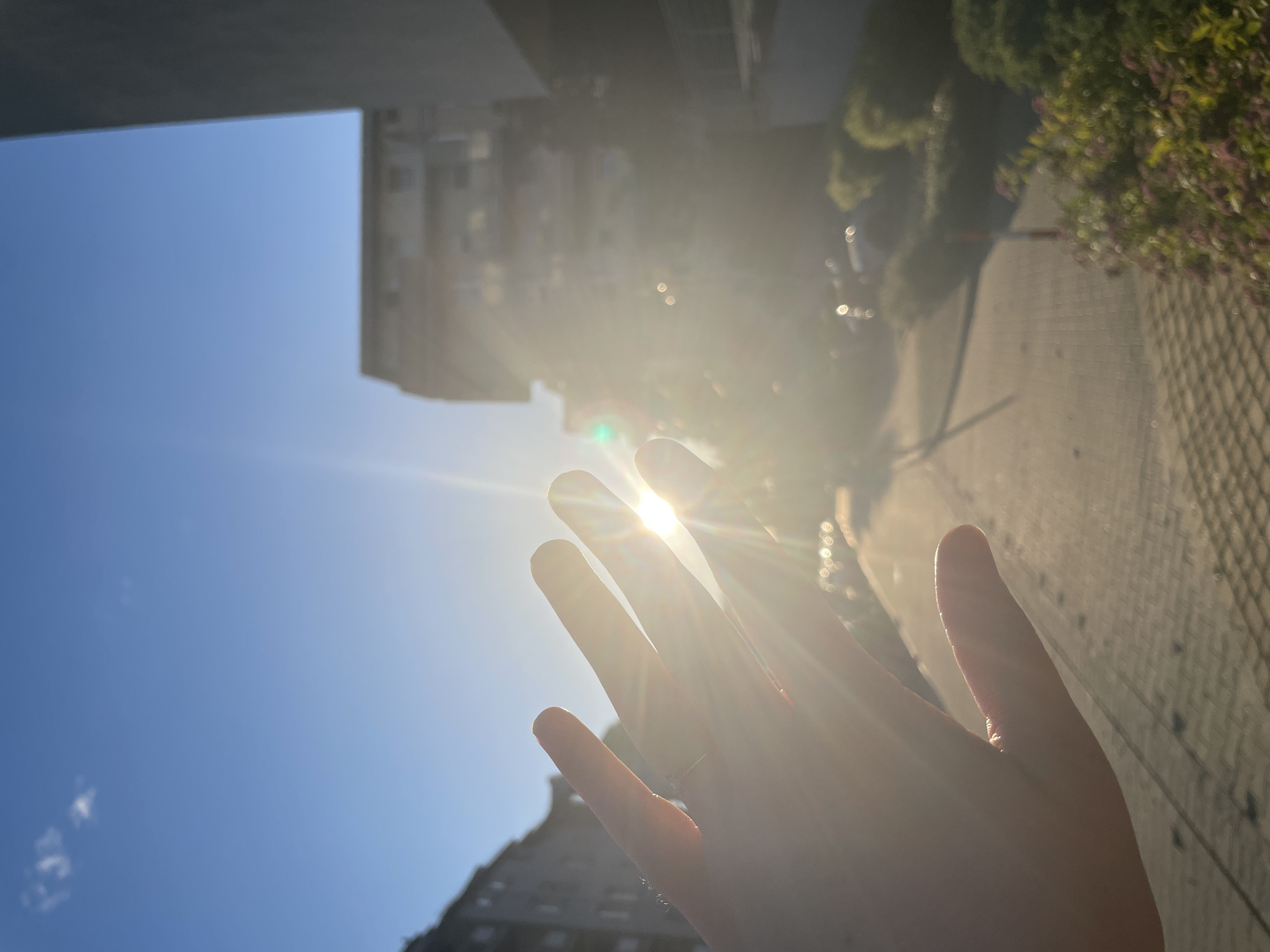 A bright outdoor image captures a human left hand positioned in front of a low sun, causing significant lens flare and backlighting. The scene is located in the city of Unknown, Unknown, depicting an urban or residential street. The hand, with fingers slightly splayed and a thin metallic ring visible on the ring finger, is translucent where sunlight passes through. The sun, a brilliant white orb with radiating rays, is centered between the middle and ring fingers.
In the midground, a paved surface with a grid pattern of light-colored interlocking pavers or bricks recedes into the distance. Streaks of light and circular bokeh patterns from out-of-focus vehicles are visible further down the path. Green foliage, possibly bushes or small trees, is present on both sides of the path, with a patch of purple-flowered plants visible in the lower right foreground.
The background features multiple multi-story buildings under a clear, bright blue sky with a few wispy white clouds in the upper left. A light-colored building is partially visible on the left side, while a darker, taller structure occupies the far right side of the frame. The overall lighting suggests either early morning or late afternoon.