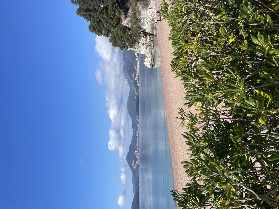 The image captures a coastal scene in Sveti Stefan, Montenegro, on a clear, sunny day. The foreground is dominated by a dense hedge of dark green, broad-leafed shrubs, partially obscuring the base of the scene. Beyond the hedge, a wide, reddish-brown sand and pebble beach stretches towards calm, light blue-green waters that reflect the sky. To the right, a rocky cliff face composed of stratified white and reddish rock formations rises, topped with several dark green pine trees.
In the mid-ground, two individuals are visible on the beach, positioned near the base of the cliff on the right. They appear to be walking or standing, facing generally away from the viewer. Their attire is light-colored and indistinct due to distance. A large white rock formation extends into the water near the base of the cliff.
The background features a expansive body of water leading to a distant coastline characterized by undulating hills and mountains. Along this distant shore, a town or city with numerous white and light-colored buildings is visible, nestled against the foothills. The sky above is a vibrant clear blue with scattered white cumulus clouds, primarily concentrated above the distant mountain range.