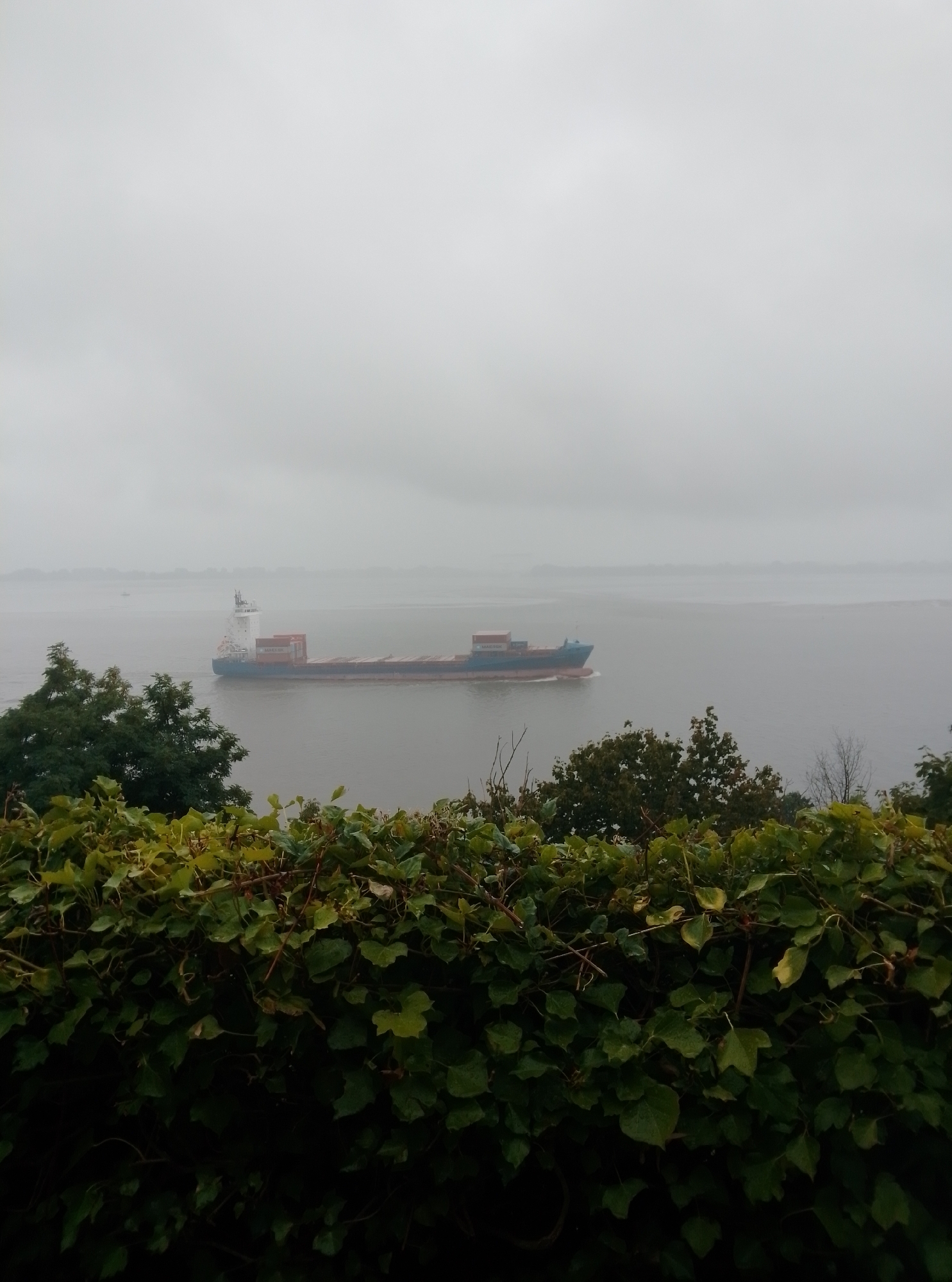 A container ship navigates a calm body of water under a heavily overcast sky. The ship, predominantly blue and red, carries several rows of stacked shipping containers, some of which are red. The ship is in the middle ground of the image. In the foreground, a dense, dark green hedge of leaves and vines obscures the bottom third of the frame. To the left of the ship, a dark green tree with a full canopy is visible. The background shows a hazy, indistinct shoreline. The overall atmosphere is muted and subdued due to the weather. This scene is likely the River Elbe in Hamburg, Germany, a major port city.