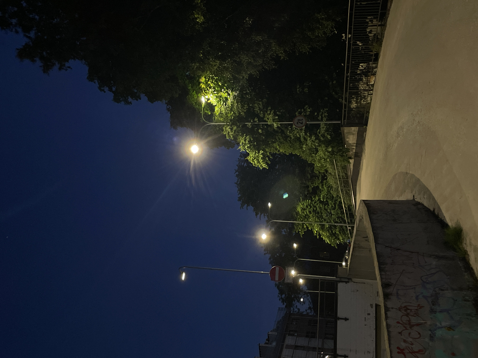 The image captures a nighttime scene on a pedestrian walkway or ramp in Tallinn, Estonia. The sky is a deep indigo, with a faint pinpoint of light visible in the upper left quadrant, possibly a star or distant planet. Several streetlights illuminate the area. One prominent lamppost on the left stands tall, with a red circular sign featuring a horizontal white bar, indicating a "no entry" or "prohibited" sign, mounted on it. A second, shorter lamppost is situated behind it. Further to the right, another lamppost casts a warm yellow glow on the lush green foliage of trees. This lamppost also has a circular sign with the number "2t" inside, suggesting a weight limit.
The walkway itself is paved and curves gently to the right. To the left of the walkway, there is a concrete wall covered in graffiti. The graffiti is in various colors, primarily red and white. Beyond the walkway on the right, a dark metal railing lines the edge, separating it from what appears to be a lower area or embankment. In the background, a dark building with visible windows is partially obscured by trees and darkness. The overall impression is one of an urban environment at night, with artificial lighting interacting with the natural elements of trees and the night sky.