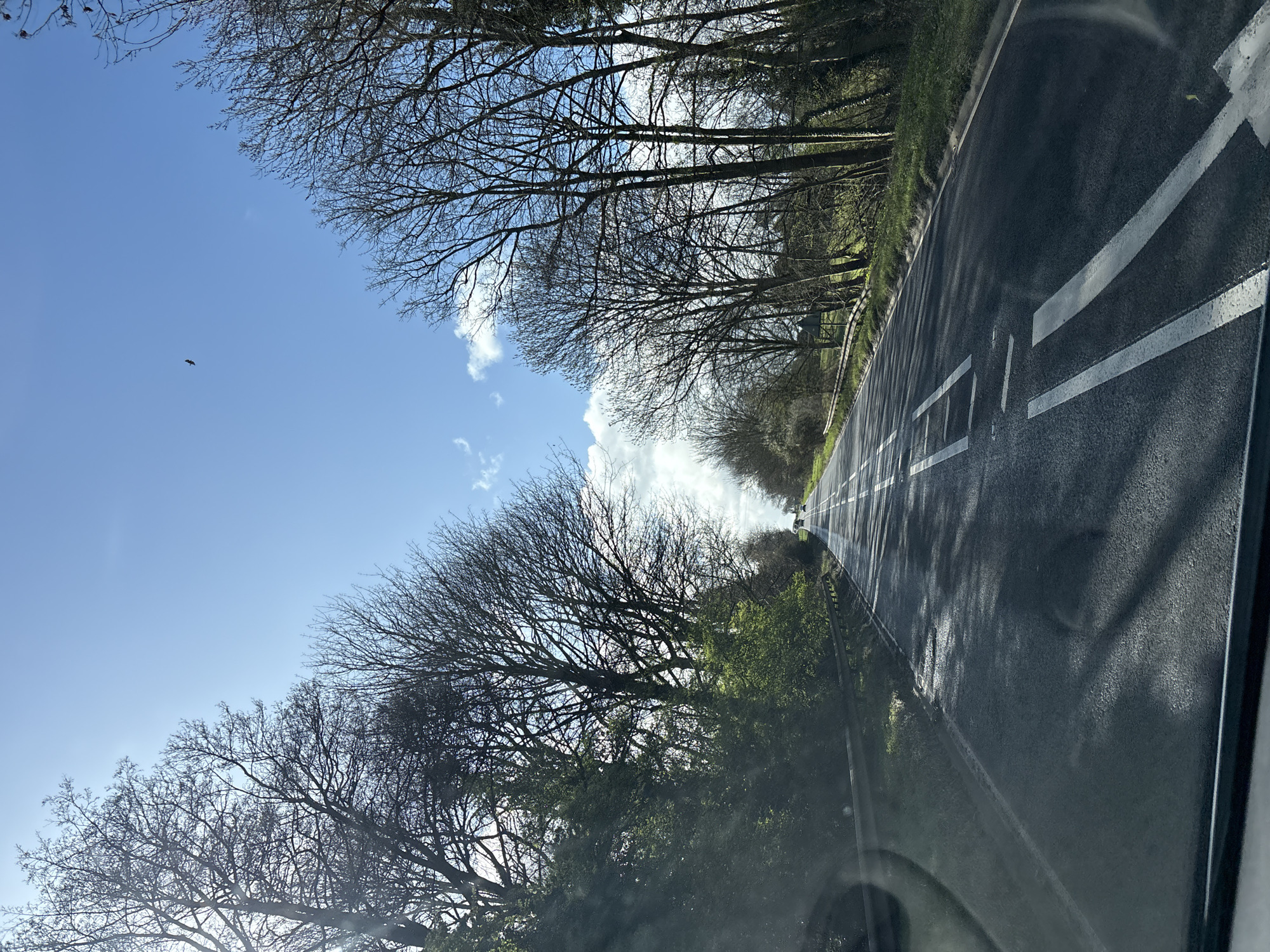 This image depicts a two-lane asphalt road extending into the distance under a bright blue sky with scattered white clouds, located in Ruyton-XI-Towns, United Kingdom. The perspective is from within a vehicle, with the dashboard or lower windscreen frame visible at the bottom of the frame.
The road surface in the foreground shows patches of reflective dampness and distinct shadows cast by unseen objects, likely trees. White road markings, including dashed and solid lines, are visible on the asphalt.
Both sides of the road are flanked by metal crash barriers. Beyond the barriers, dense vegetation is present. On both the left and right, the roadside is dominated by numerous deciduous trees with bare branches, characteristic of late winter or early spring. Some areas of green foliage are interspersed among the trees, particularly at lower levels on the left.
The sun is visible in the upper left quadrant, causing lens flare. A single dark, avian subject is in flight against the blue sky, positioned in the upper central area of the frame. In the far distance, two faint vehicles are visible on the road, traveling in the same direction as the vantage point.
