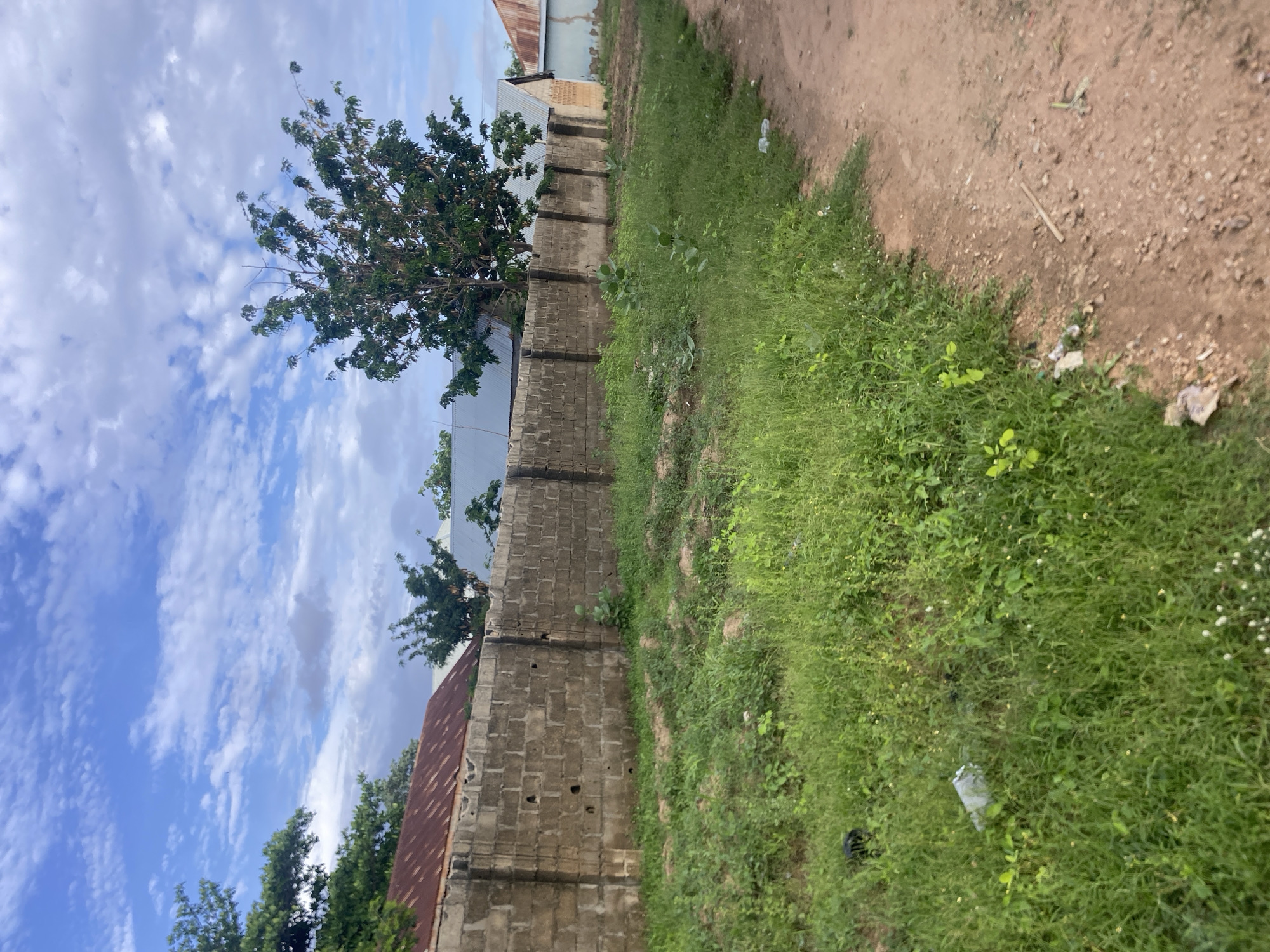 This image presents an outdoor scene in Jalingo, Nigeria, under a partially cloudy sky. The upper section displays a light blue sky with scattered white cumulus clouds. Below the sky, several buildings with corrugated metal roofs are visible; one on the left features a rusted reddish-brown roof, while others to the right have lighter grey roofs. A deciduous tree with green foliage is prominent on the right side, partially obscuring a building.
The midground is dominated by a long, grey concrete block wall, extending horizontally across the frame and acting as a perimeter. The wall exhibits weathered textures, irregular indentations, and darker stains. Behind the right portion of the wall, a light-colored building with a blue base and a reddish-brown corrugated roof is partially visible.
The foreground is bifurcated into two ground surfaces. The left side features an expansive area of dense, overgrown green vegetation, comprising various grasses and herbaceous plants. Within this vegetation, scattered refuse is present, including a white plastic bottle or container and a dark plastic object. The right side of the foreground consists of a reddish-brown dirt path or unpaved road, running from the lower right towards the midground. Its surface is uneven and composed of soil and small stones. A single light-colored wooden stick lies on the dirt path near the center. No individuals or animals are present, and no actions or interactions are depicted. The scene is illuminated by natural daylight.