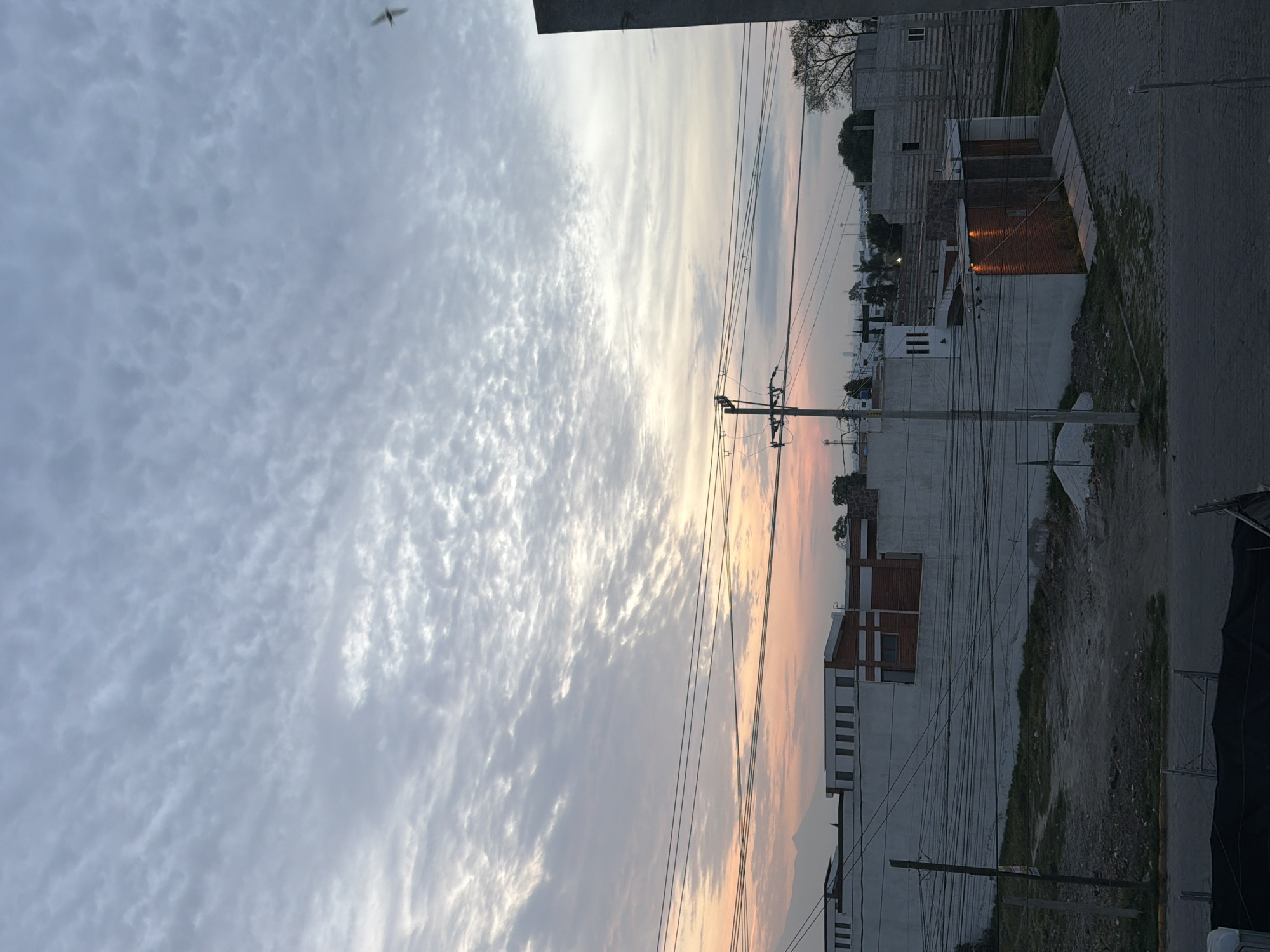The image presents an expansive view of a semi-urban or suburban landscape during either sunrise or sunset, indicated by the soft, warm light illuminating the horizon. The sky is dominated by a vast canopy of mottled clouds, likely altocumulus or stratocumulus, which are predominantly grey and white, but transition into soft yellow, orange, and pink tones closer to the horizon on the right side of the frame. A lone bird is captured in flight high within the cloudy expanse in the upper left.
Below the horizon, the scene reveals a residential or developing area. Numerous buildings, some appearing new or under construction, feature a mix of exposed brickwork and concrete, while others are painted in light shades of white or grey. A prominent feature is the dense network of black electrical and communication cables strung across the scene, supported by multiple utility poles made of wood and concrete. A paved road or path is visible on the far right, appearing dark under the evening or morning light. Sparse vegetation, including a few trees, is scattered throughout the area, providing some natural contrast to the built structures. Distant mountains or hills are subtly outlined against the soft, colored sky. The overall impression is that of a tranquil moment in a developing community in San Andrés Cholula, Mexico, at the transitional hour of dawn or dusk. No legible text is visible on any signs or structures.