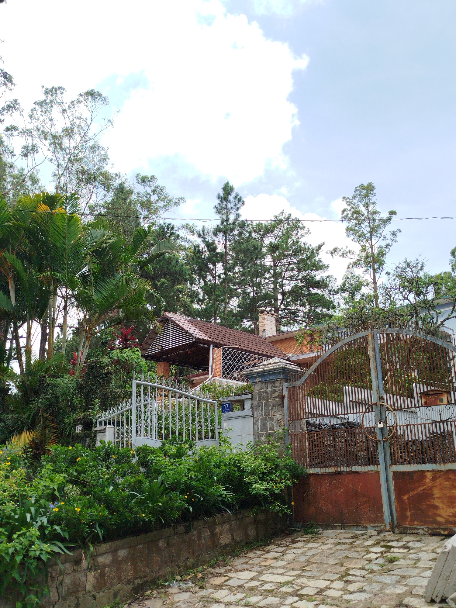 The image depicts the exterior of a house, likely in Da Lat, Vietnam, characterized by lush vegetation and a mix of architectural styles. The foreground features a paved driveway made of irregular stone slabs, bordered by a low, weathered concrete retaining wall. Abundant green foliage, including flowering plants with yellow blossoms, spills over this wall.
To the left, a white wrought-iron gate with ornate detailing stands partially open, revealing a glimpse of the property beyond. A stone pillar marks the entrance, and a blue sign with the number "17" is visible. Behind this gate, a pathway leads towards the house, which is nestled amidst tall trees.
The house itself has a prominent terracotta-tiled roof with a gabled section supported by white slats, creating a covered outdoor area. The walls appear to be a reddish-orange brick. A stone chimney rises from the roof. To the right of the main house, a section of a lighter colored building is visible.
Dominating the right side of the image is a large, rusted metal gate, a stark contrast to the lighter gate on the left. This gate has a heavy, imposing appearance with vertical bars and horizontal sheeting. A circular metal hoop is attached to one of its posts.
The background is filled with a dense canopy of trees, including tall pine trees and palm-like plants, suggesting a hilly or mountainous environment. The sky above is partly cloudy, with bright white clouds against a pale blue expanse. The overall impression is of a verdant, somewhat overgrown property, hinting at a tropical or subtropical climate common in regions like Da Lat. There are no people visible in the image.