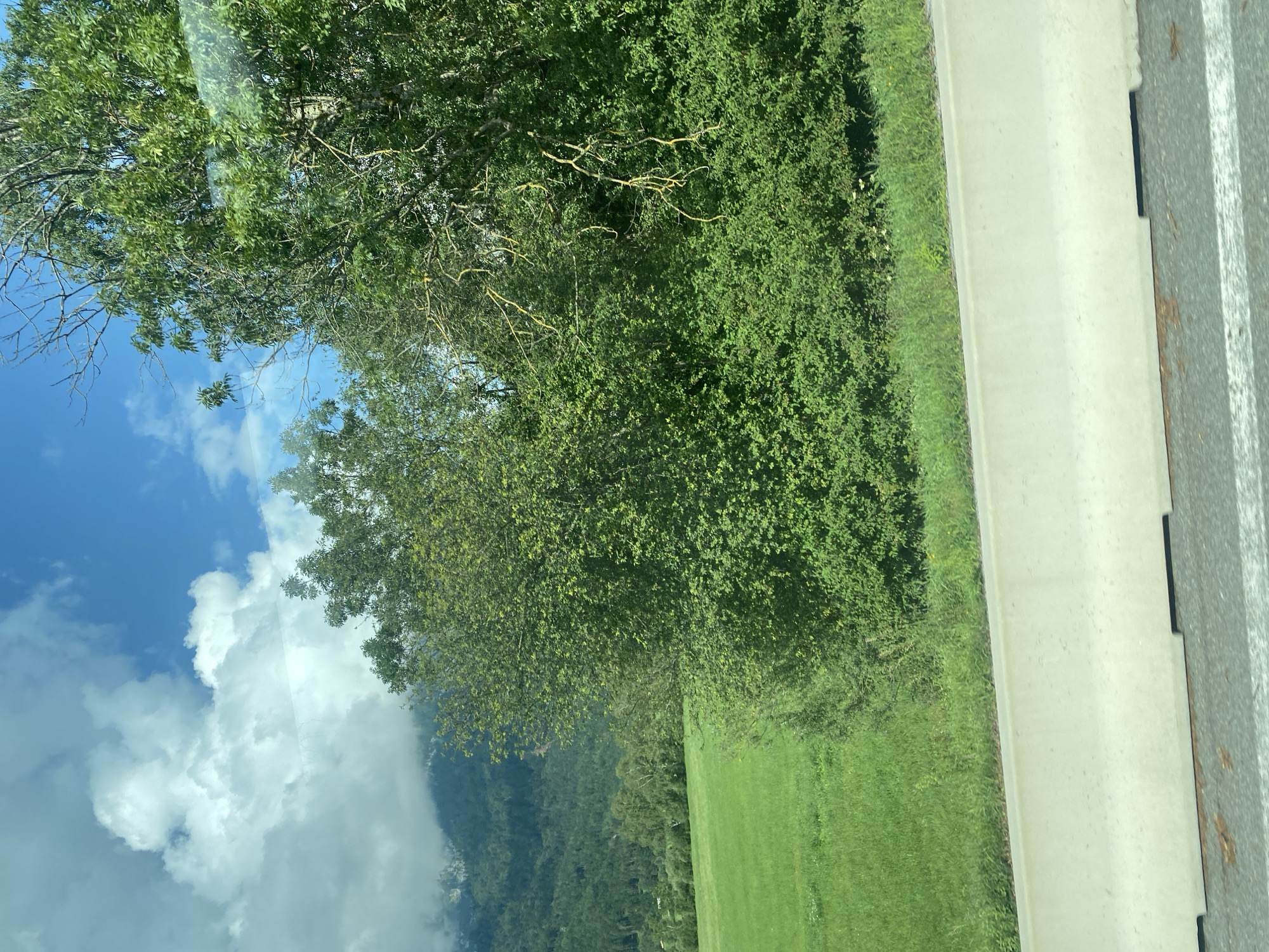 The image captures a view from a vehicle, likely a car, traveling along a road in or near Stainach-Pürgg, Austria. The foreground is dominated by a concrete barrier, typical of road infrastructure, with a hint of asphalt and white lane markings visible below it. Beyond the barrier, a vibrant green grassy field stretches out. In the middle ground, dense green foliage from trees and bushes creates a natural boundary. The background reveals a majestic mountain range, partially obscured by trees and some cloud cover. The sky above is a bright blue, punctuated by fluffy white clouds. The overall scene suggests a scenic drive through a rural or mountainous area, with the characteristic Austrian landscape evident. There are no people or animals visible in the image. The perspective suggests the image was taken during daylight hours, likely in the late morning or early afternoon. The reflection of the sky and trees on the glass suggests the photograph was taken from inside a vehicle through a window.