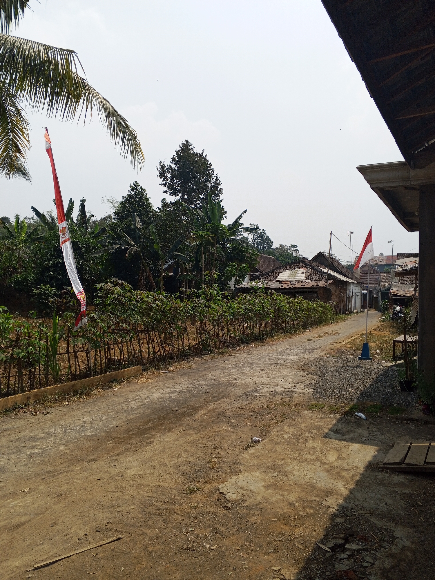 In the city of Turen, Indonesia, a dirt road winds through a rural village. The sky is a hazy white, with a small bird visible in the distance. On the left side of the road, a palm tree with fronds hanging down shades a tall, thin Indonesian flag with red and white stripes, which is partially obscured by a fence made of thin wooden poles and a dense line of green leafy plants. Beyond the fence, a lush green landscape with various trees and plants creates a dense backdrop, with some of the trees appearing to be banana trees. A few traditional Indonesian houses with corrugated metal roofs are visible further down the road, nestled amongst the greenery.
On the right side of the road, a separate Indonesian flag, also red and white, flies from a pole with a blue base. Next to the flag, a small metal table and a bench are situated, and further down, a motorcycle is parked. The road itself is a mix of compacted dirt, gravel, and some paving stones. The foreground on the right features a concrete area with shadows cast by an unseen structure, and some scattered debris.